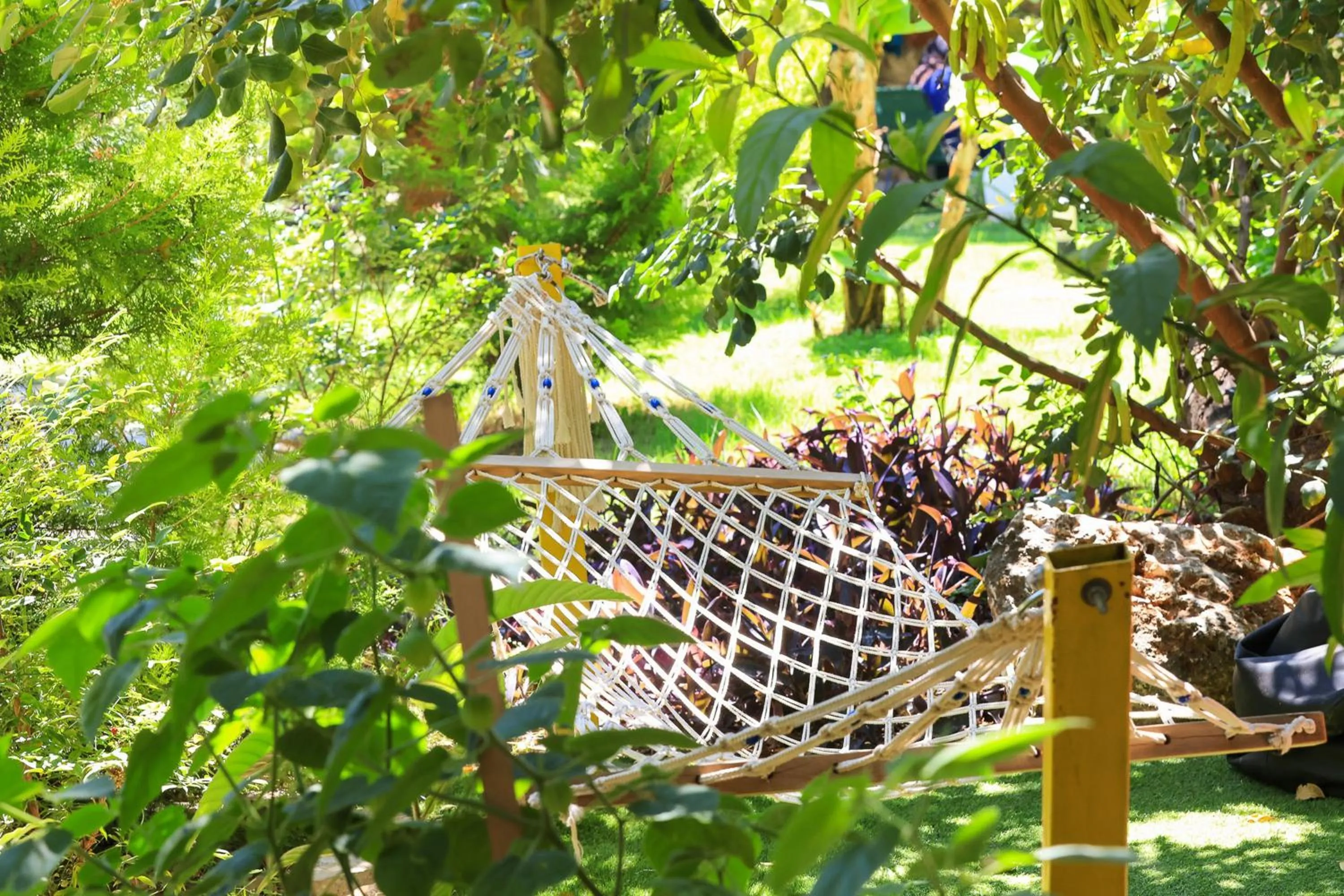 Garden in Harnup Apart