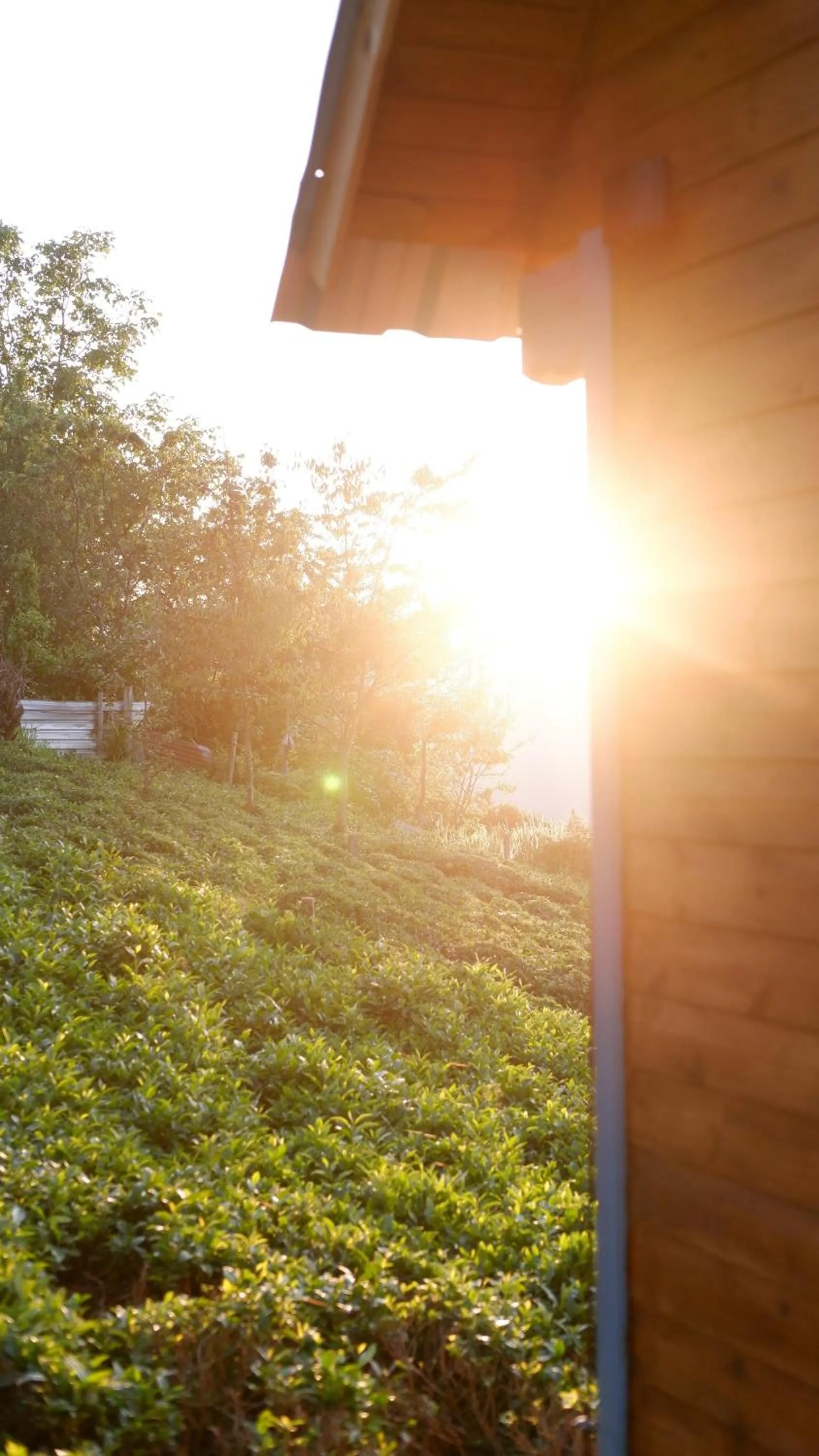 Day in Bogina Dome & Suite - Çamlıhemşin