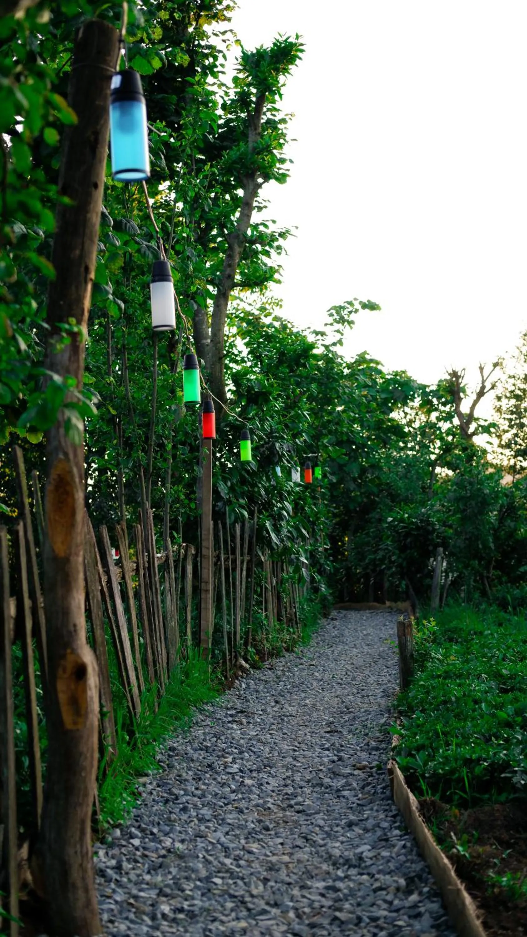 Natural landscape in Bogina Dome & Suite - Çamlıhemşin