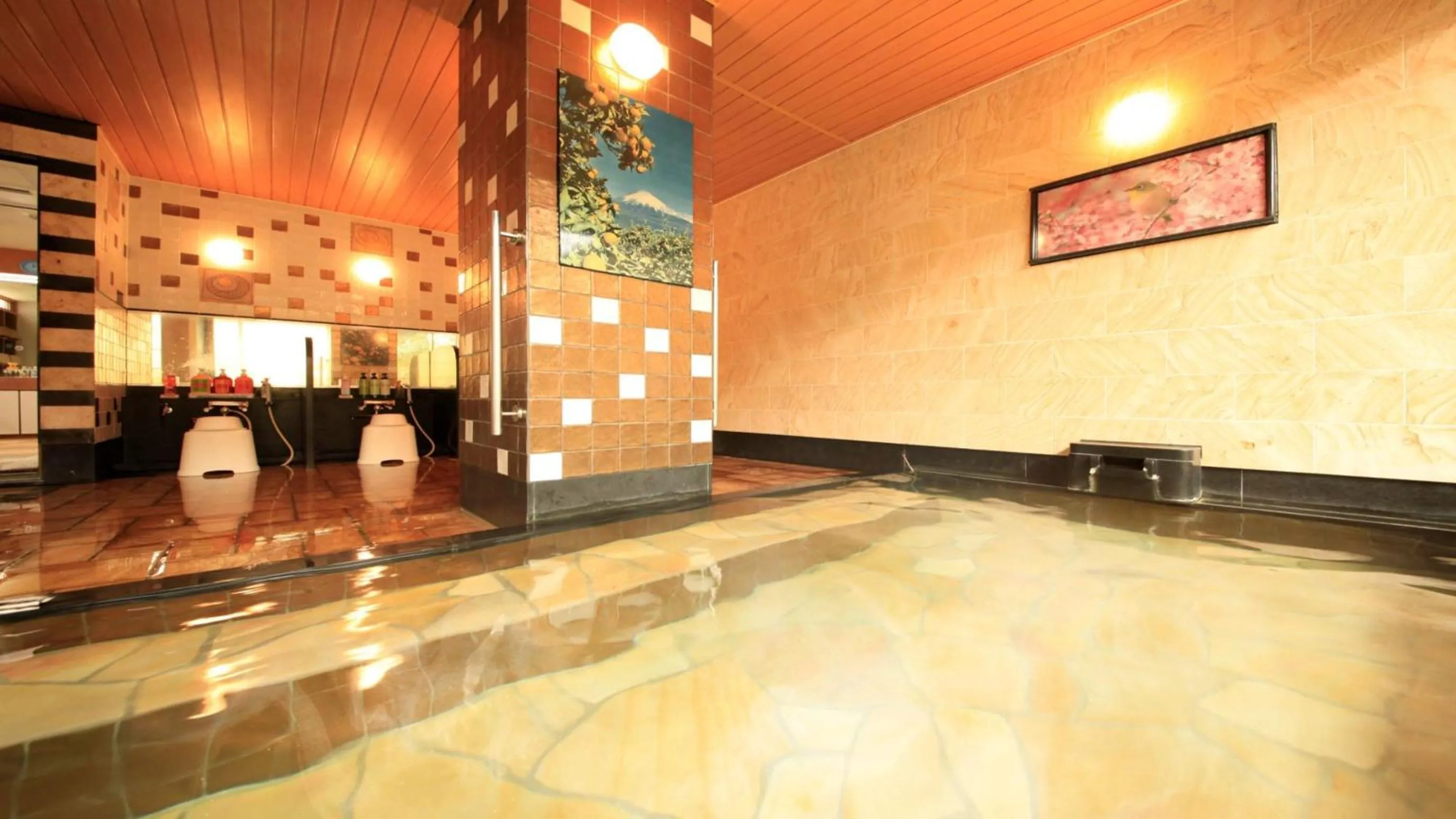 Hot Spring Bath in Yuyado Mikannoki