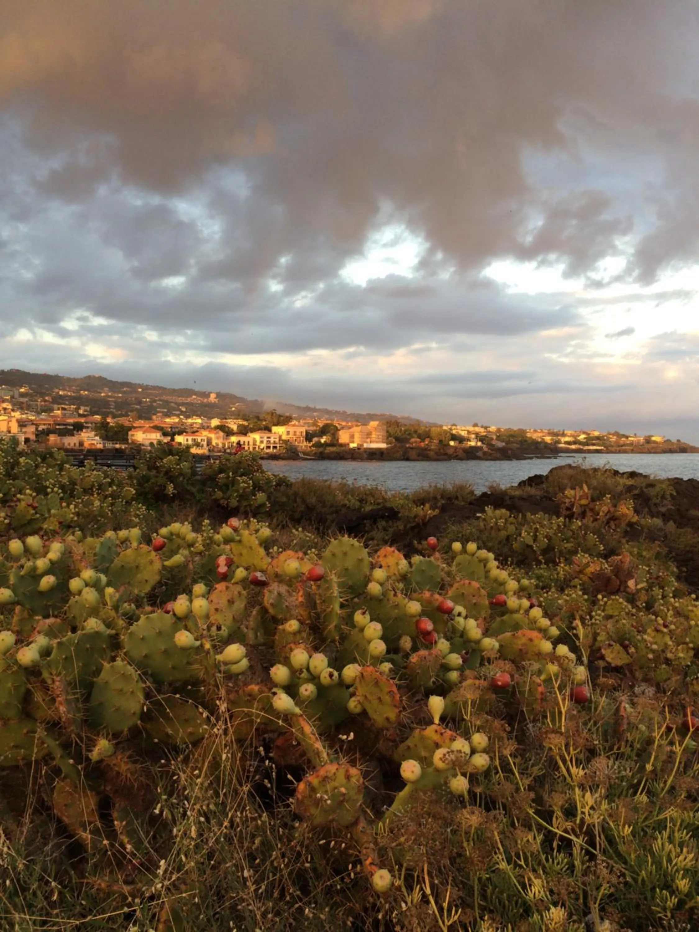 Natural landscape in Casa Nichitta