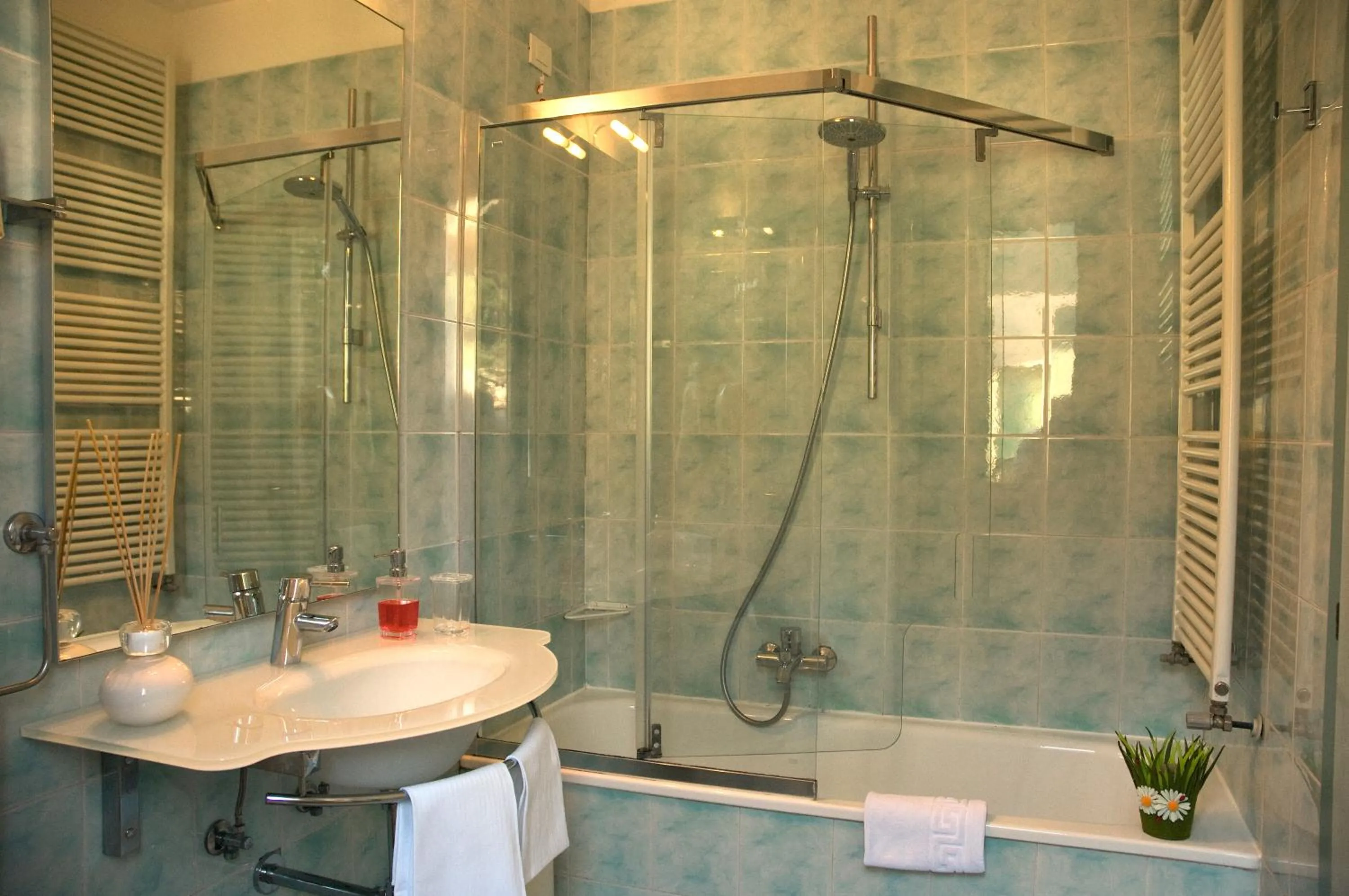 Shower in Hotel Eros Residence