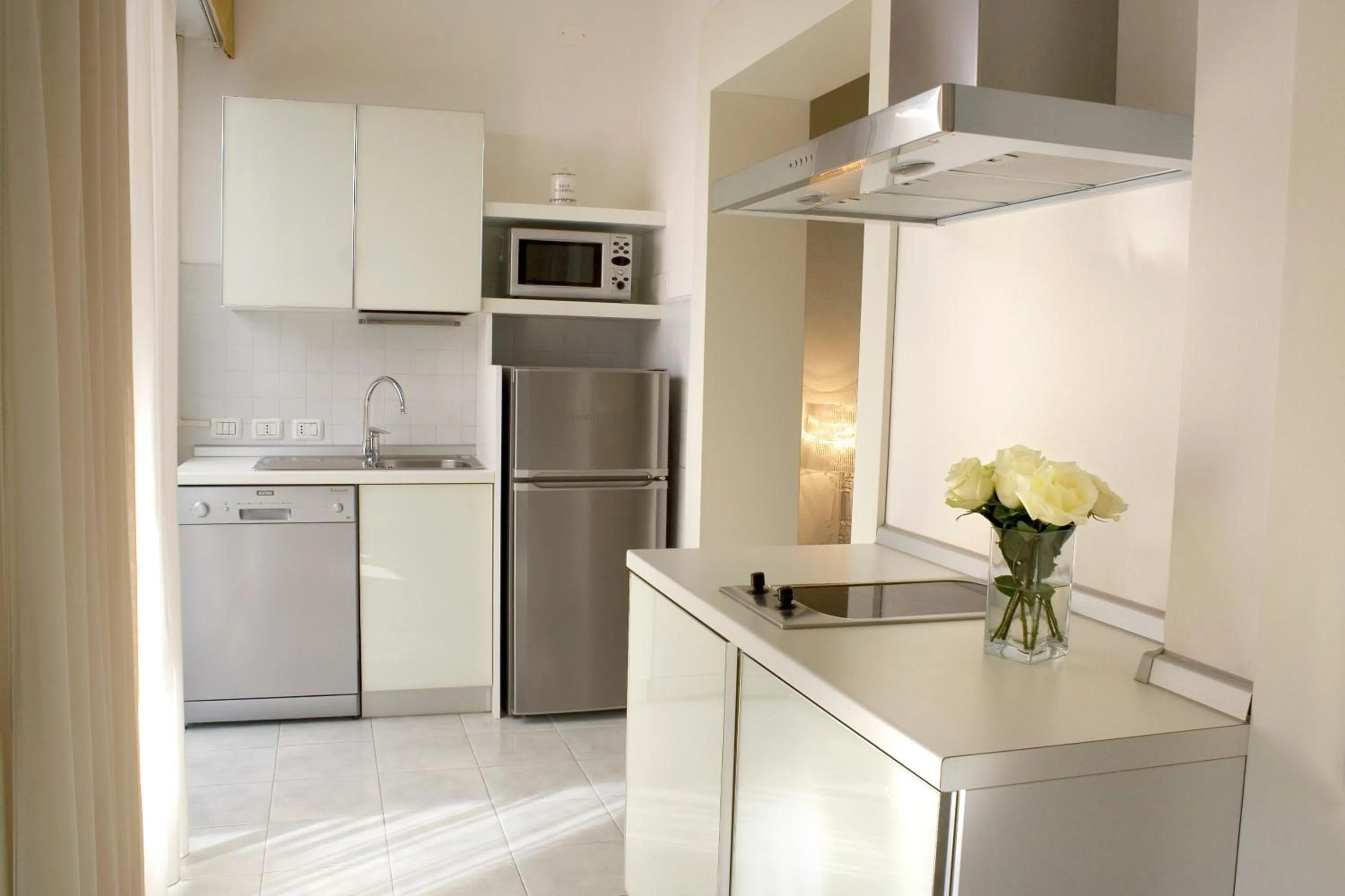 Kitchen or kitchenette in Hotel Eros Residence