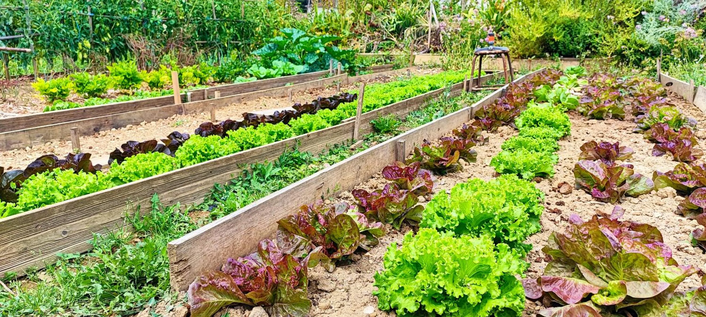 Garden in Logis Grand Hotel Pelisson