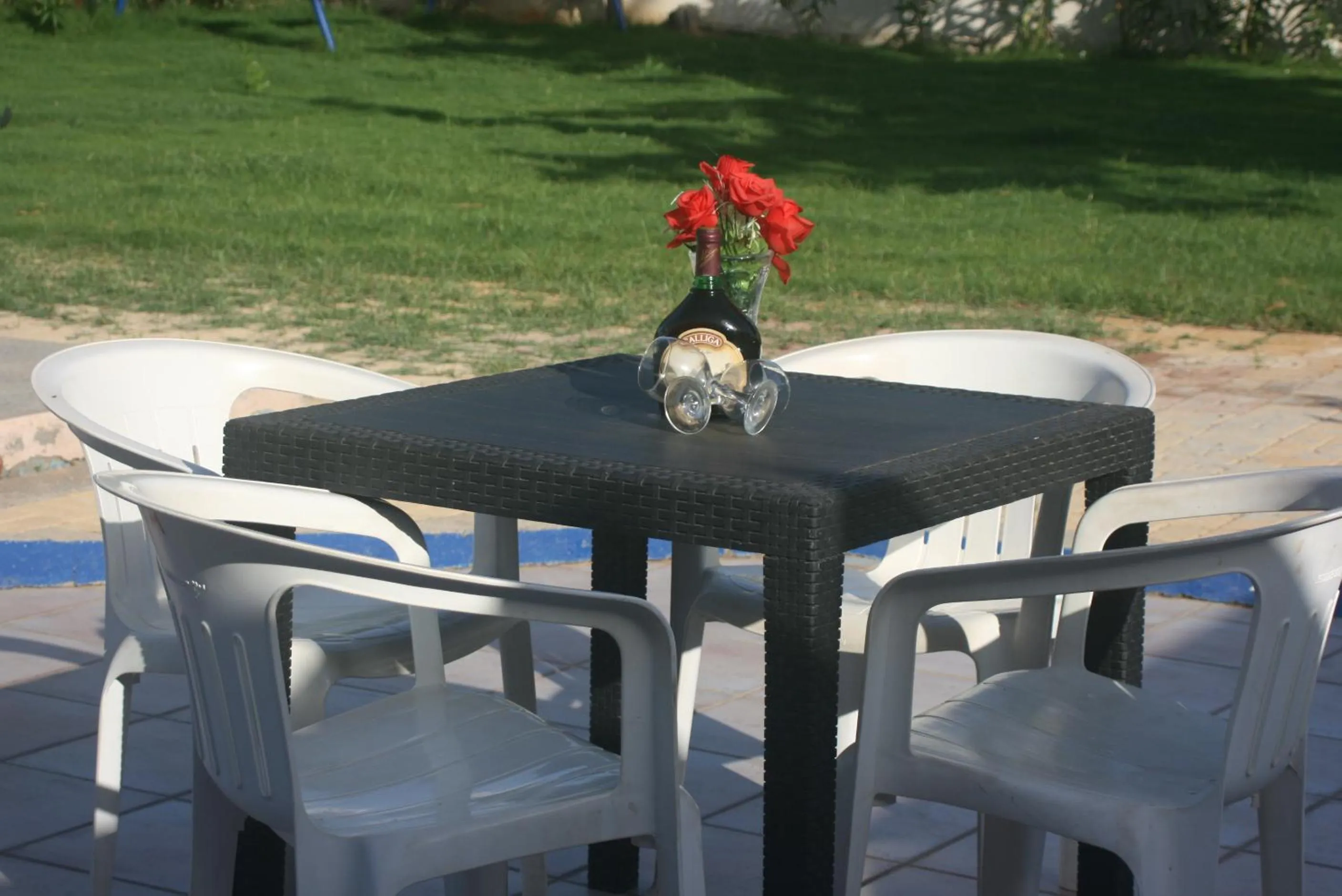 Evening entertainment in Eleonora Αnissaras