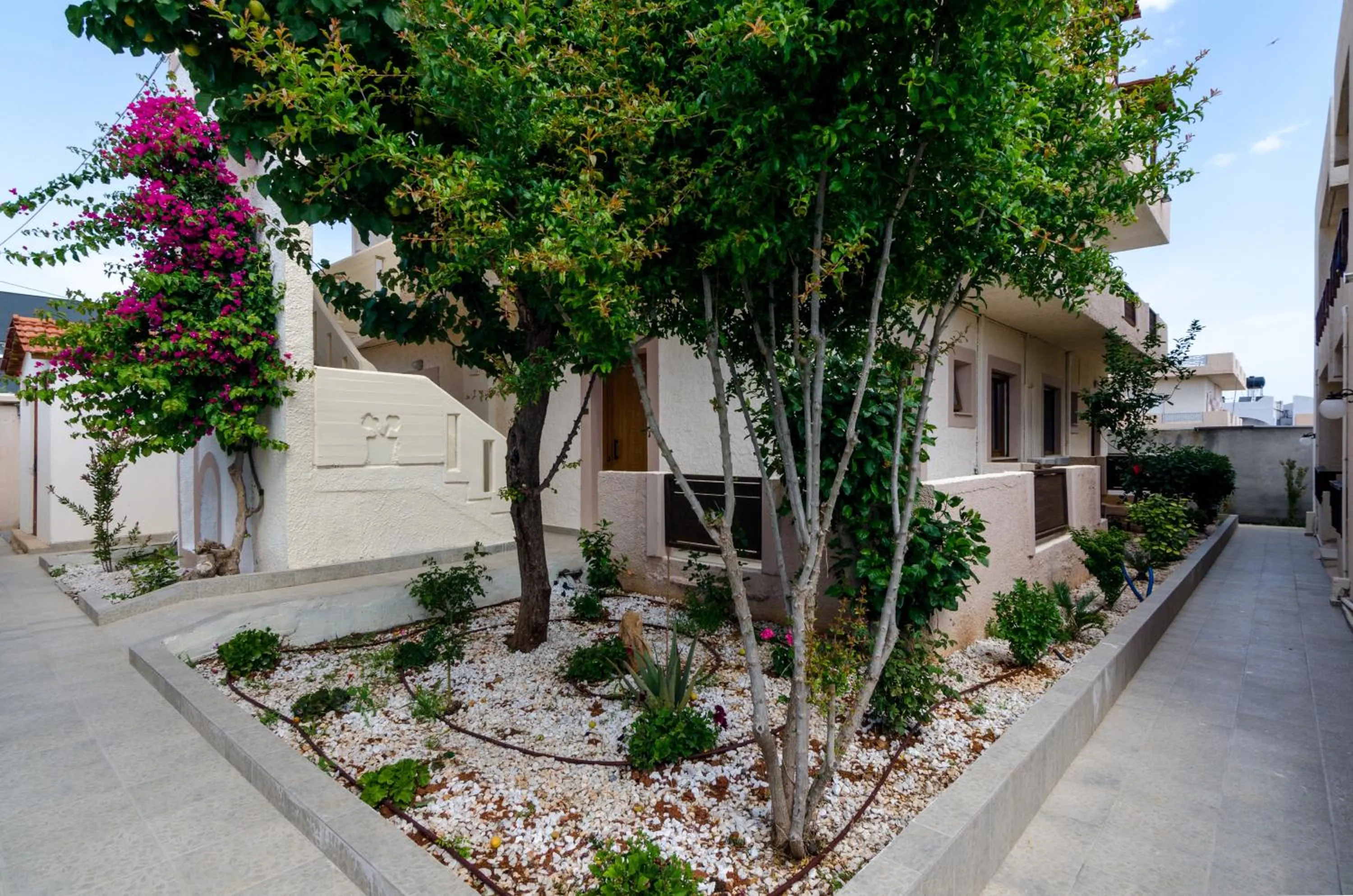 Garden in Eleonora Αnissaras