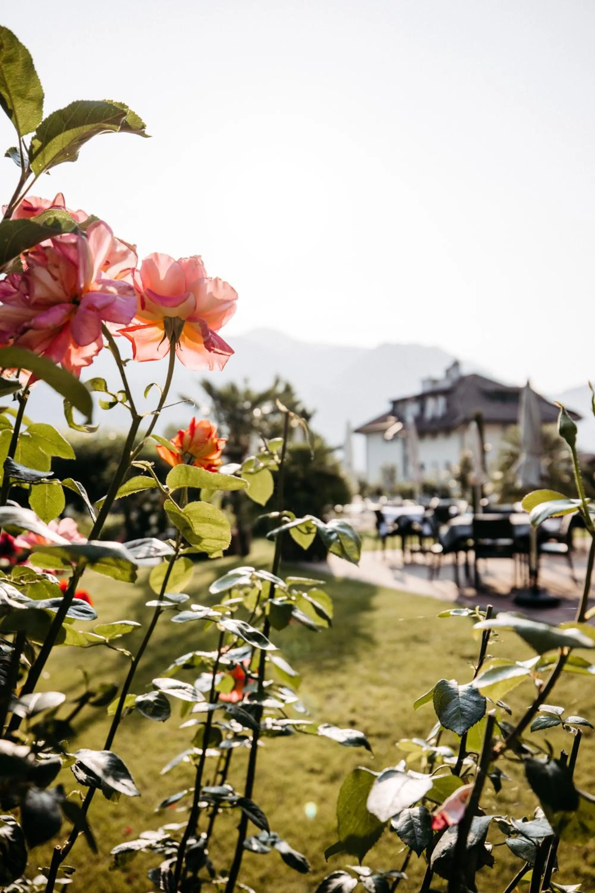 Garden in Hotel Gantkofel