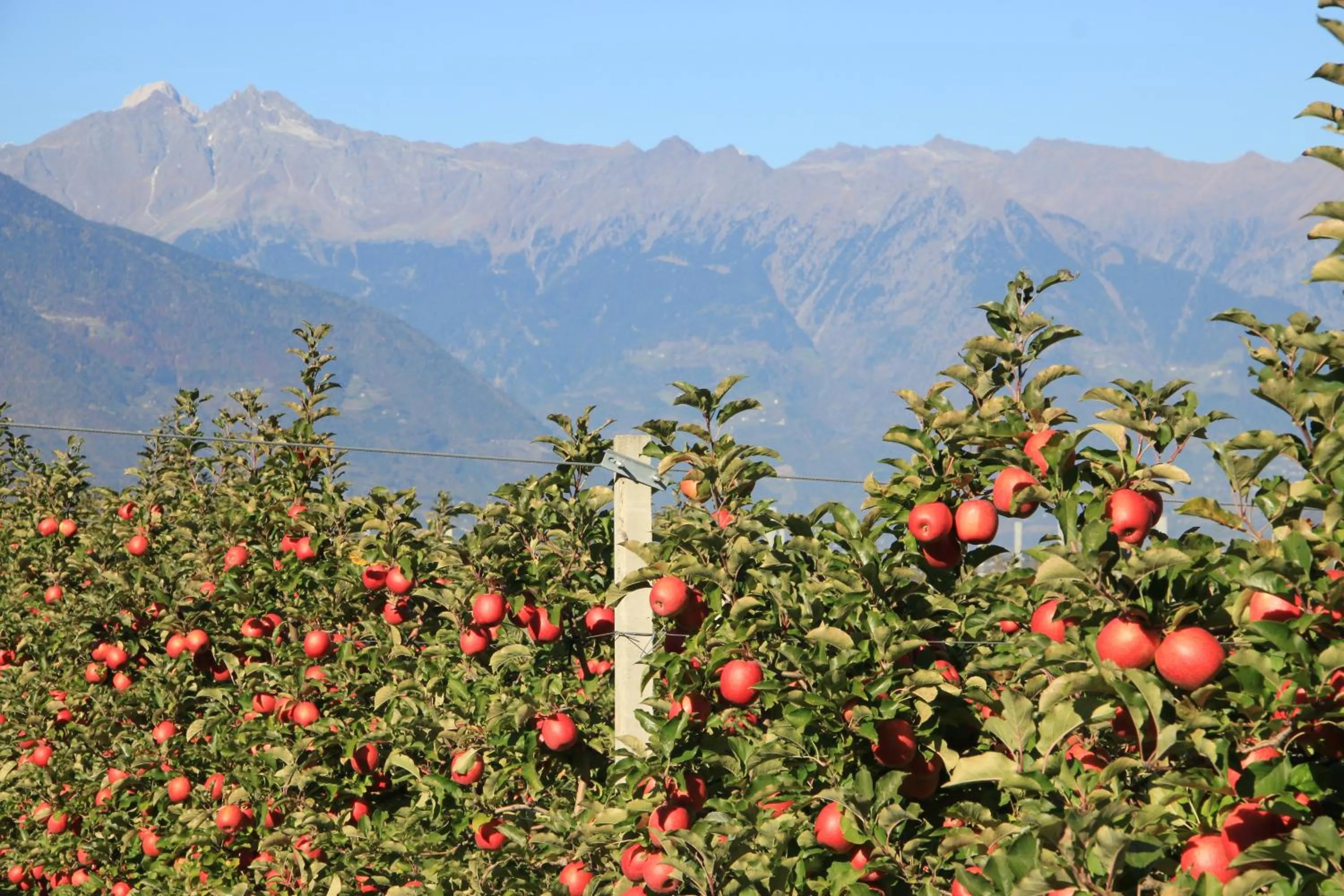 Natural landscape in Hotel Gantkofel