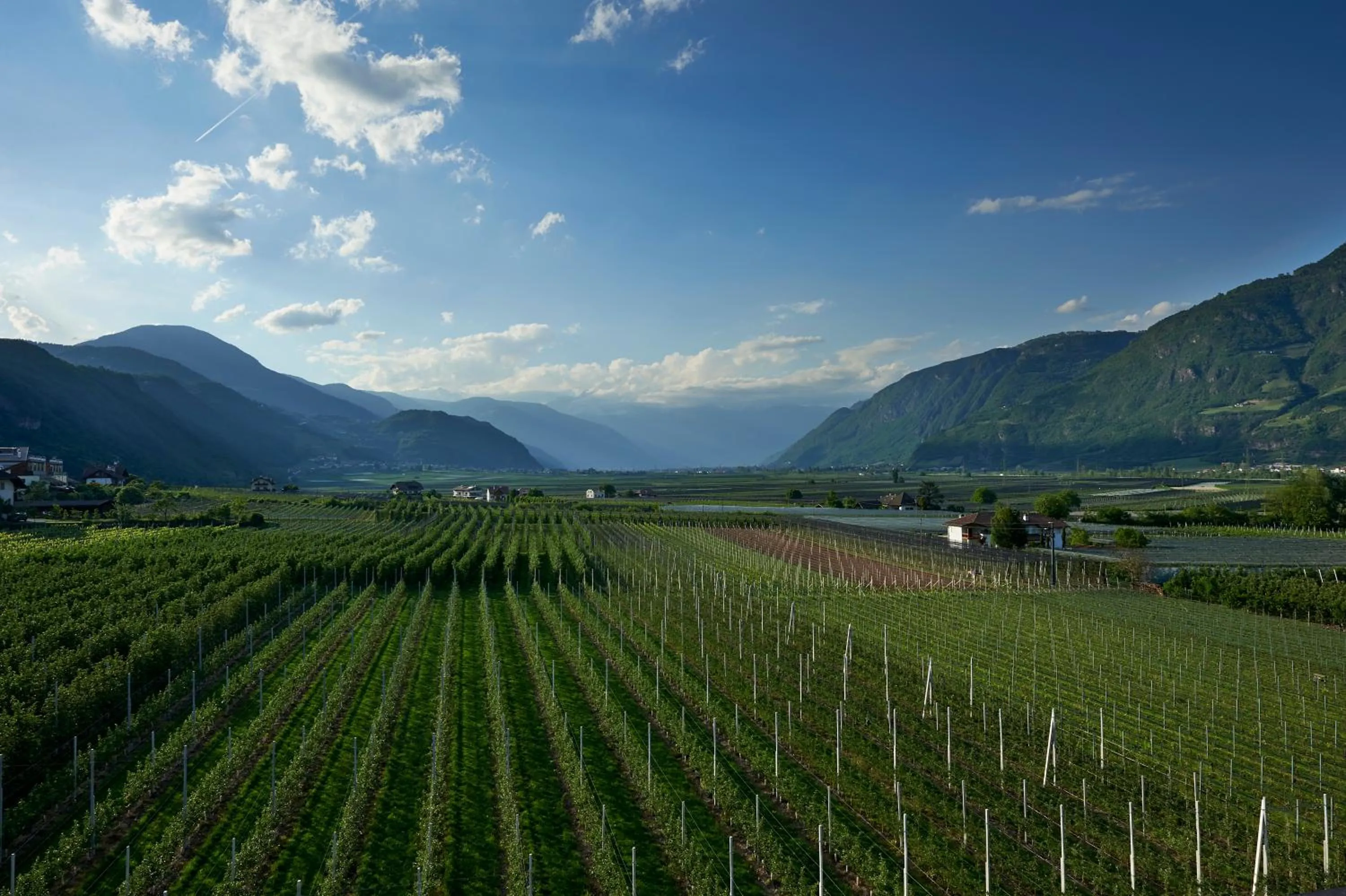 View (from property/room) in Hotel Gantkofel