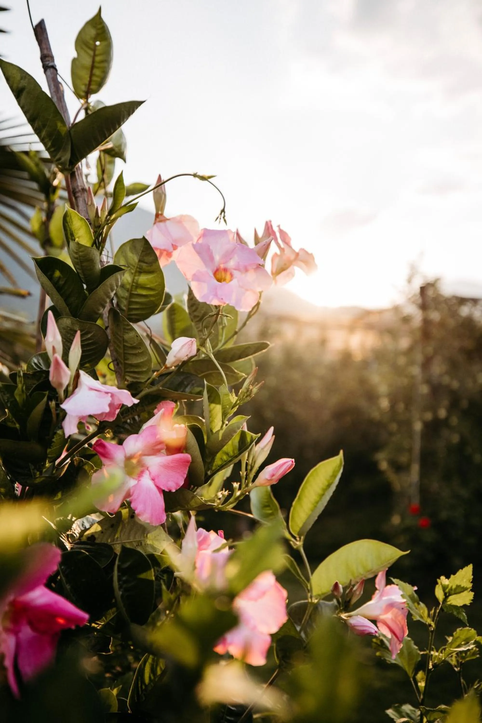 Spring in Hotel Gantkofel