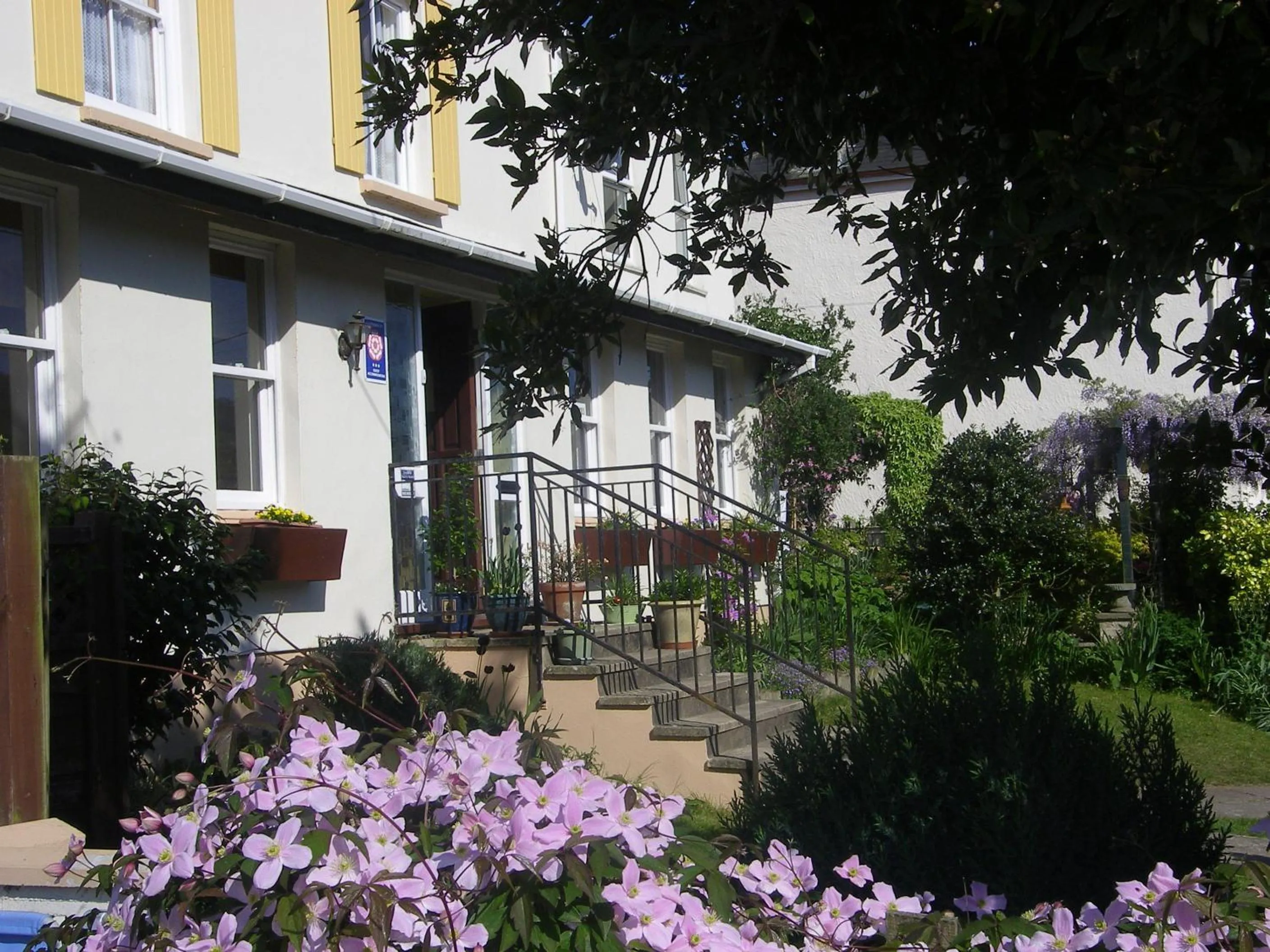 Garden in Saffron House