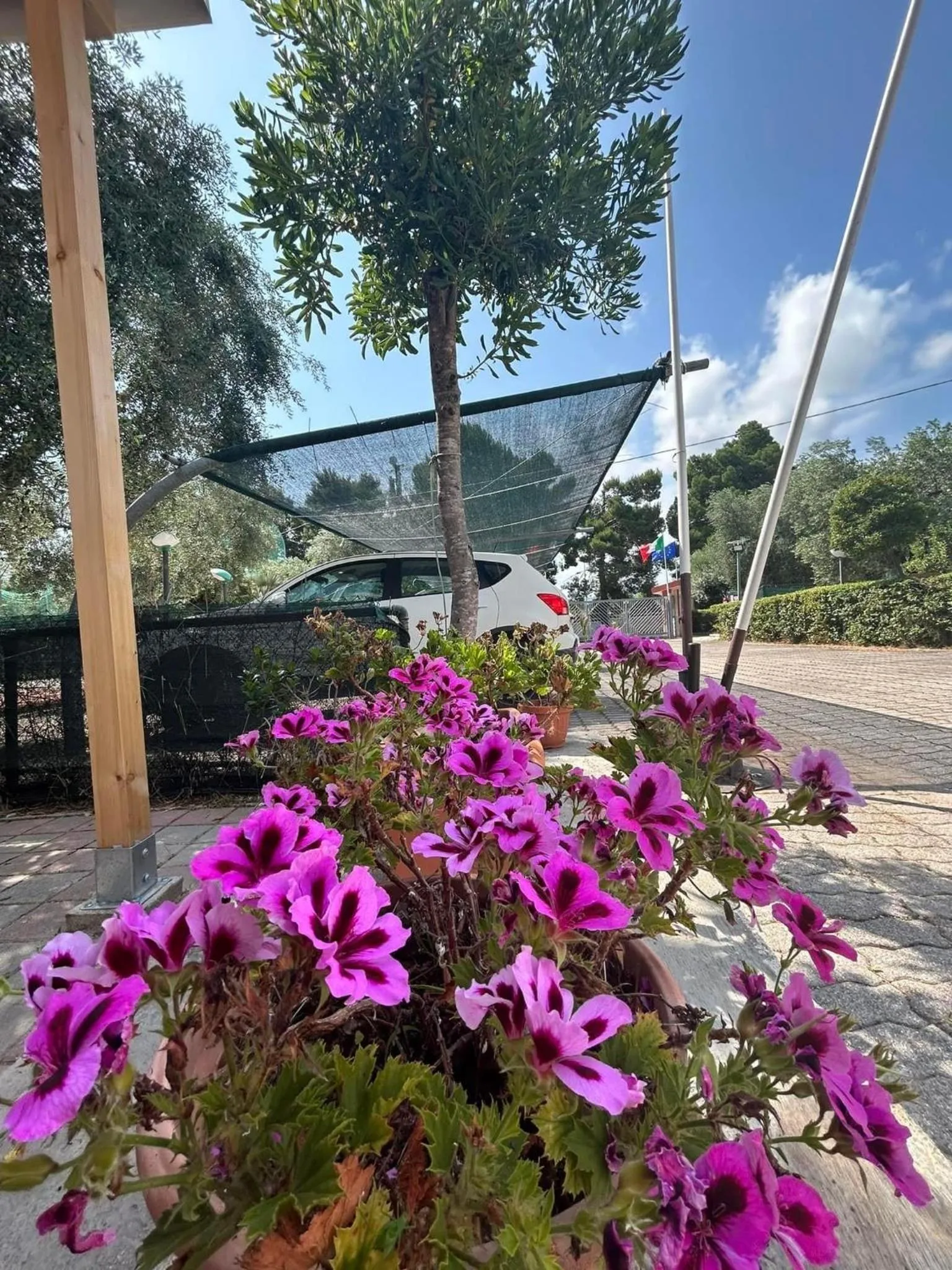 Garden view in Appartamenti Vacanze Minervino