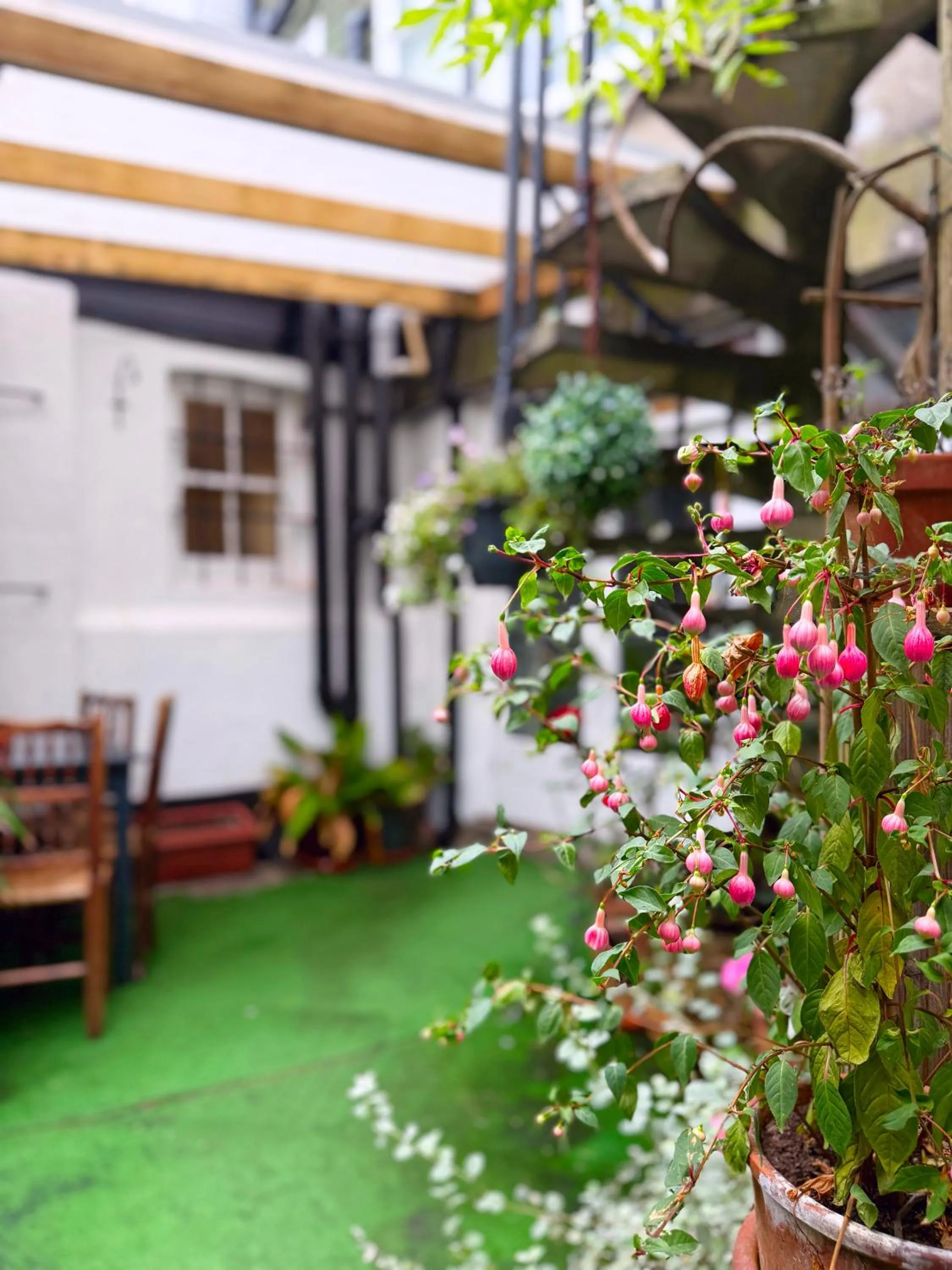 Garden in The Western