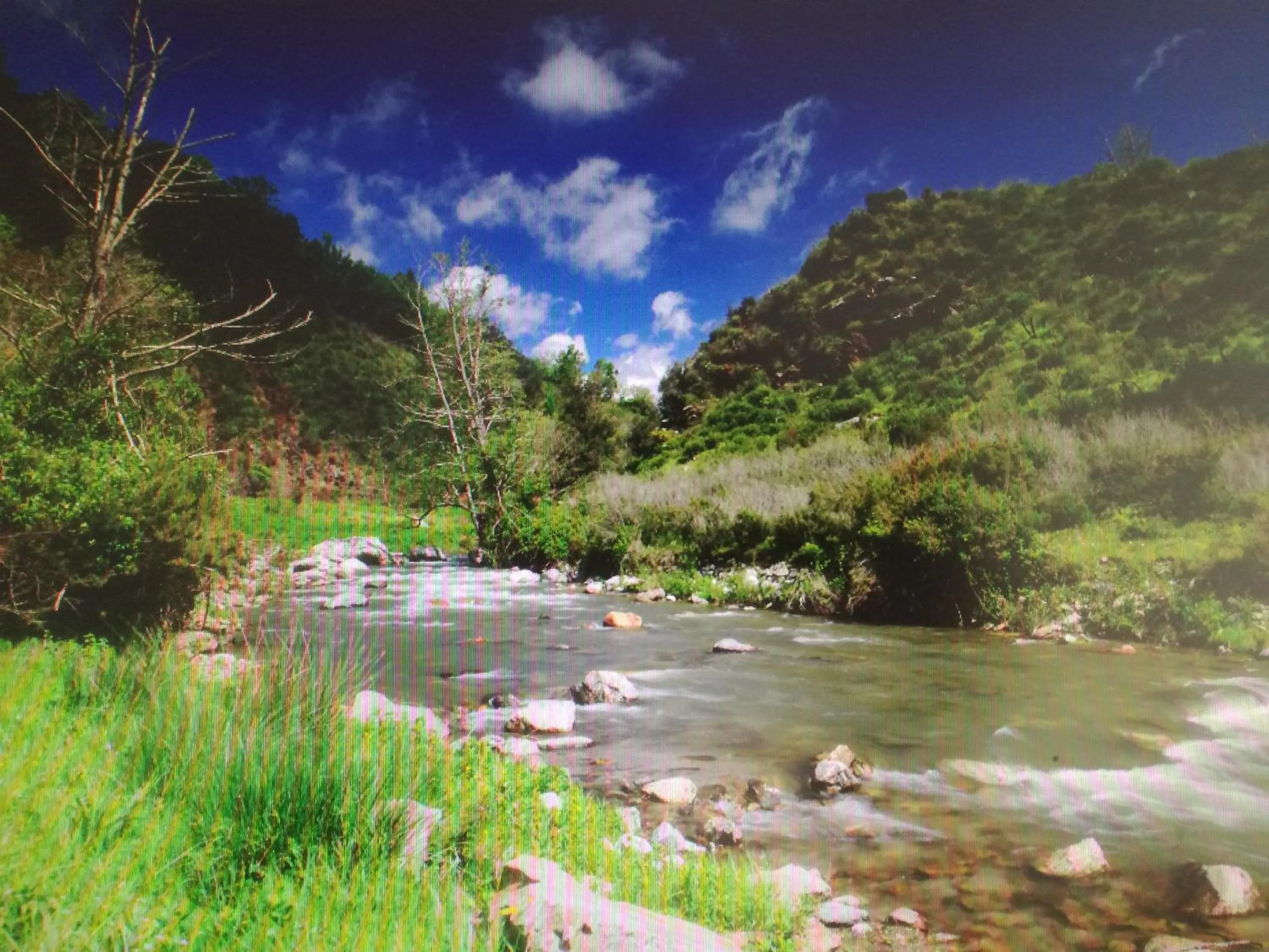 Albergo Diffuso IL MIGLIO