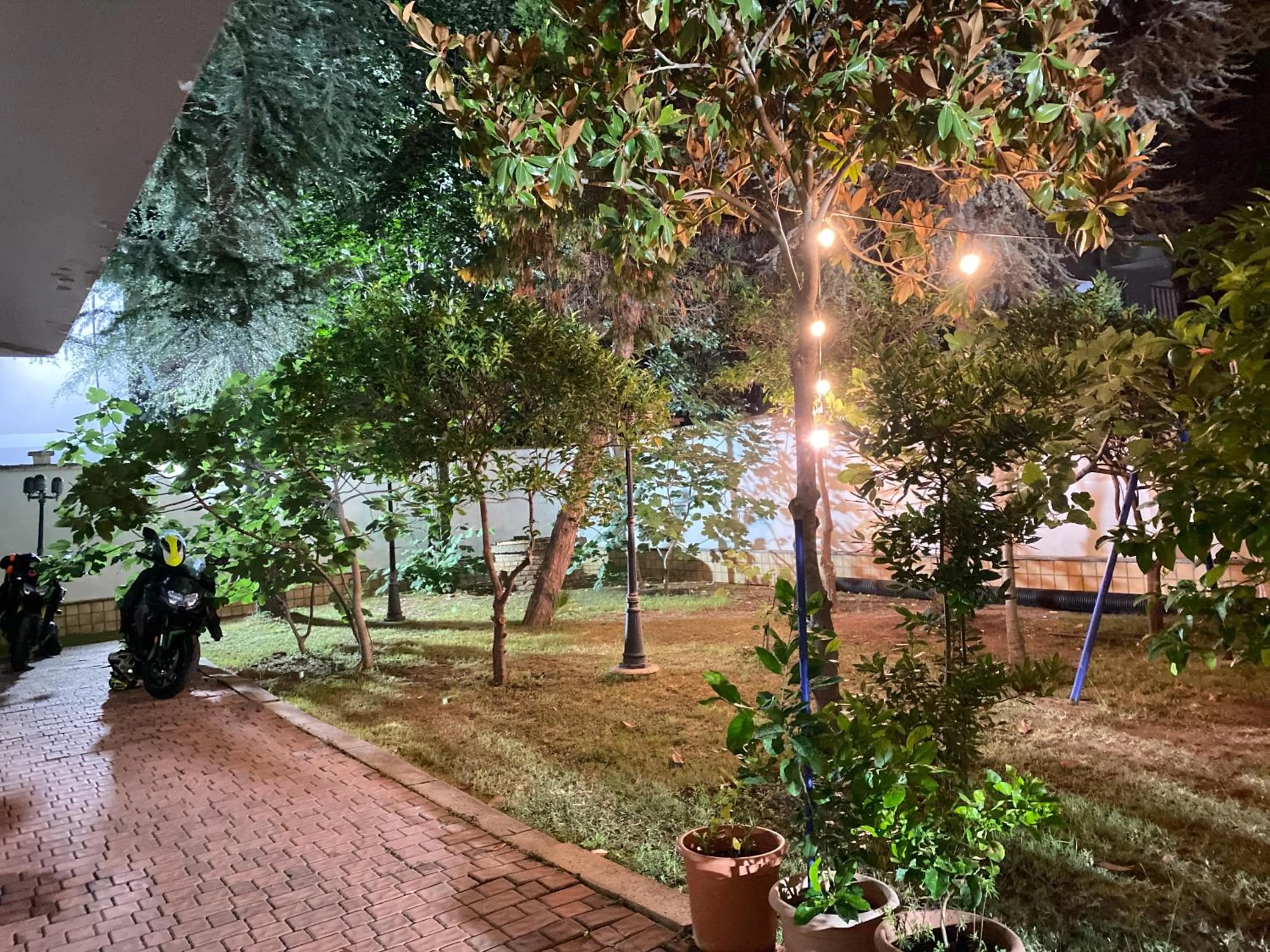 Garden in Green Garden Villa