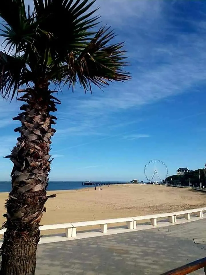 Beach in Hôtel Villa-Lamartine