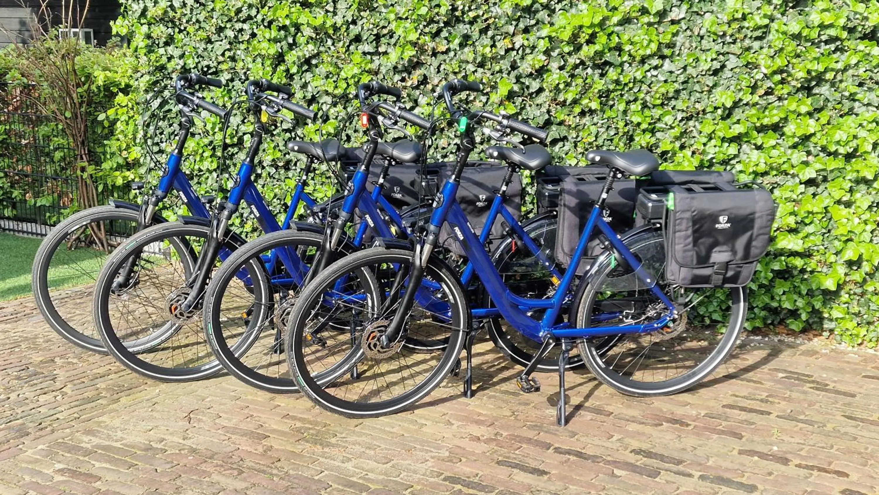 Fitness centre/facilities in B&B De Droomhoeve