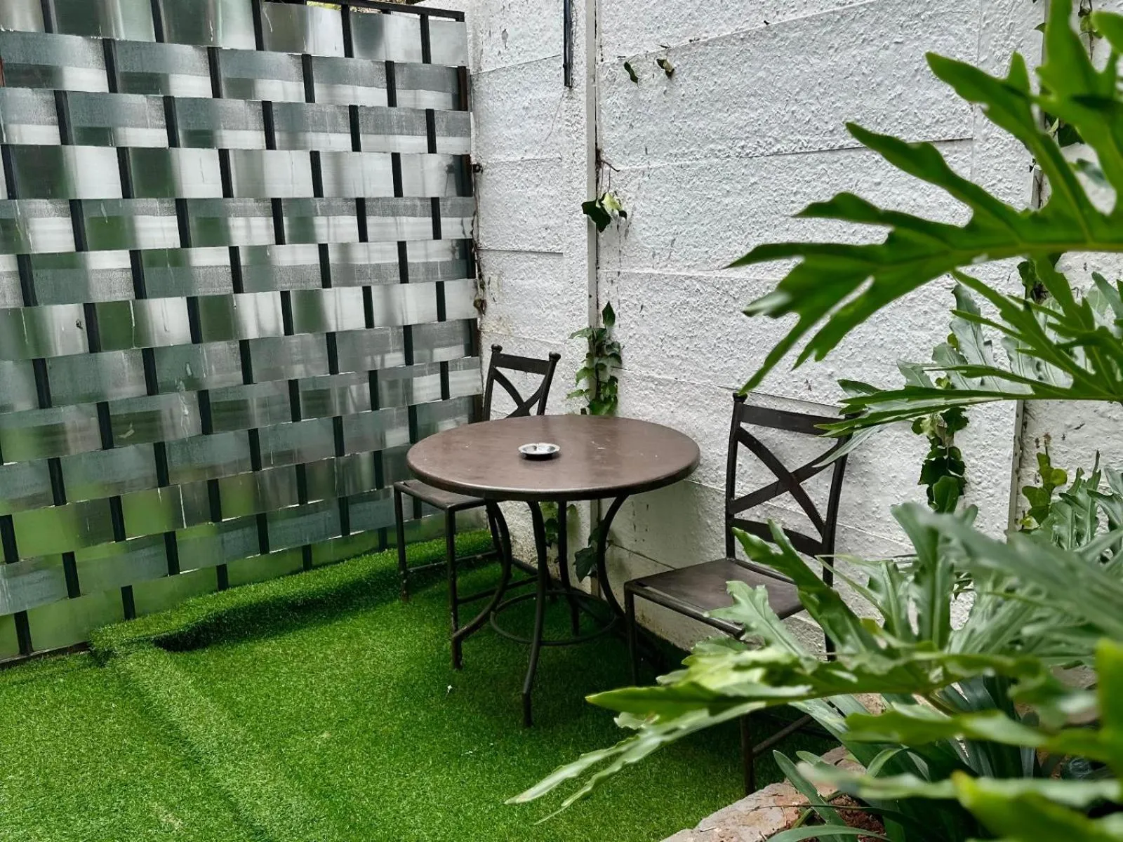 Garden in Aanmani Rose Guesthouse