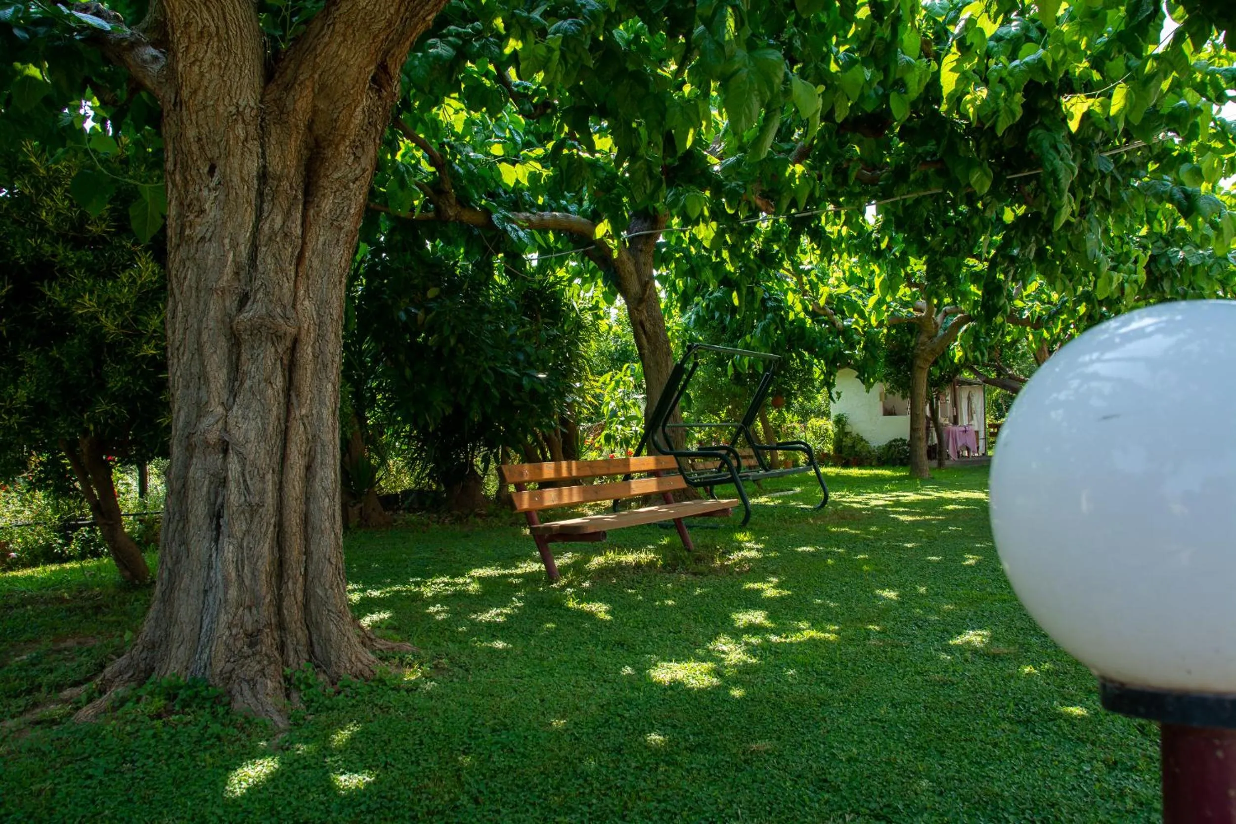 Garden in Ritsinia Apartments