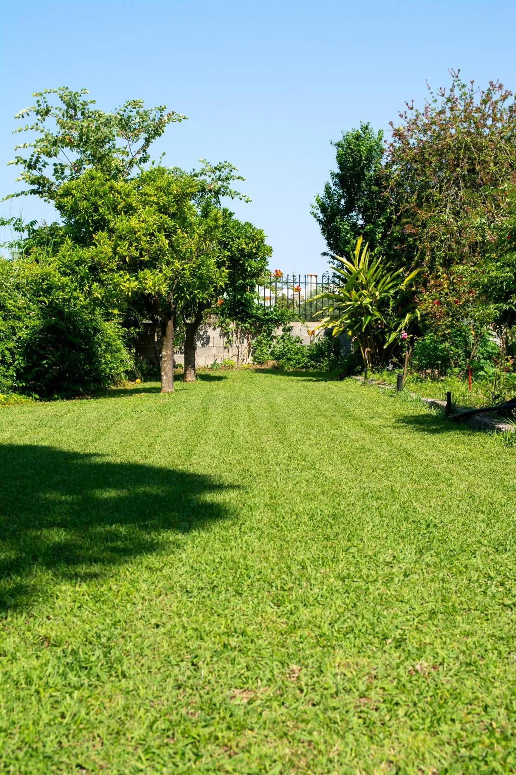 Garden in Ritsinia Apartments