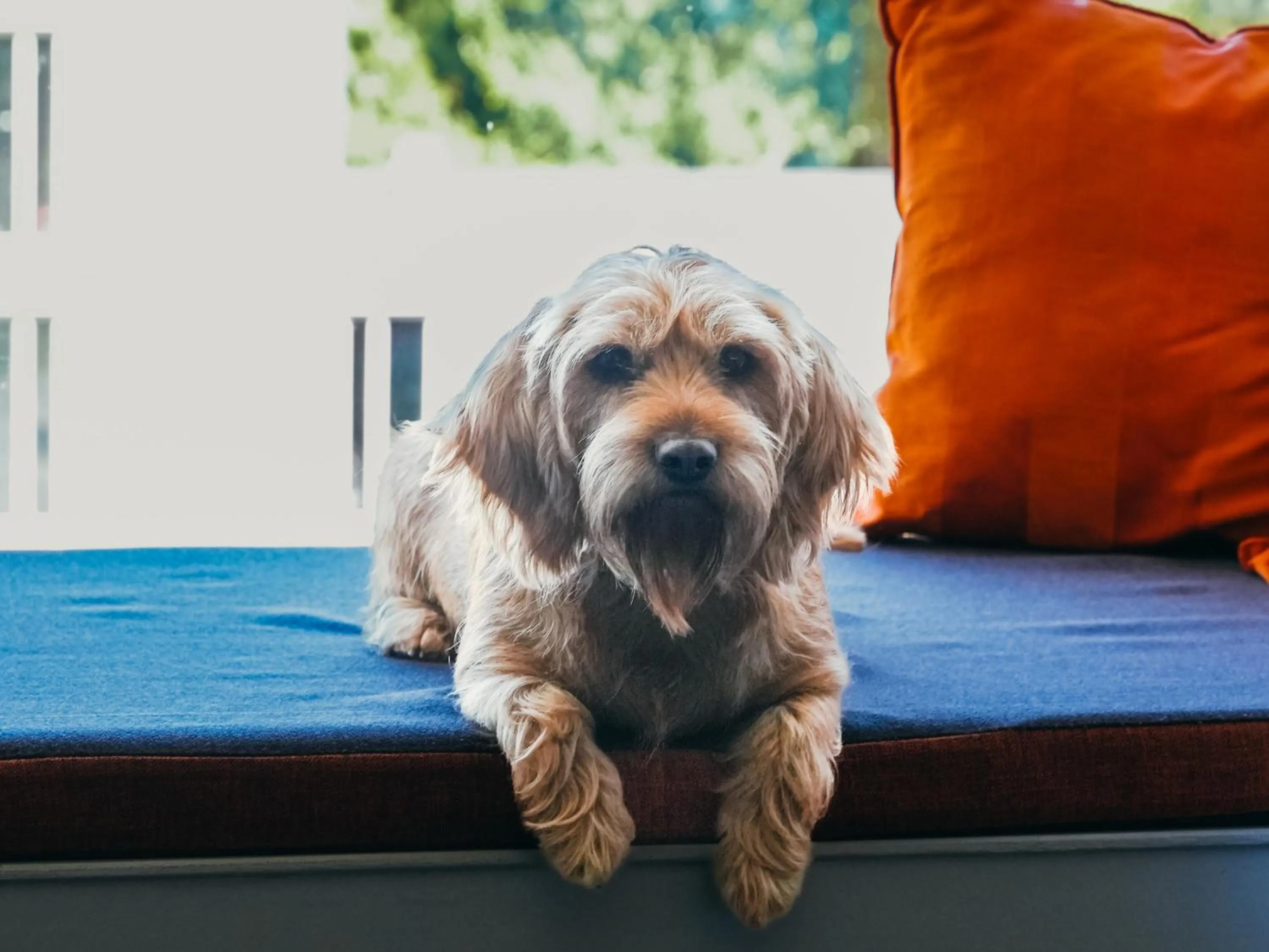 Property building in Golden Tulip Zoetermeer - Den Haag