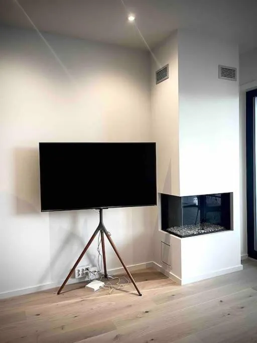 TV and multimedia in Vervet apartment