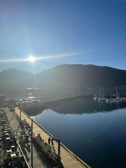 Day in Vervet apartment