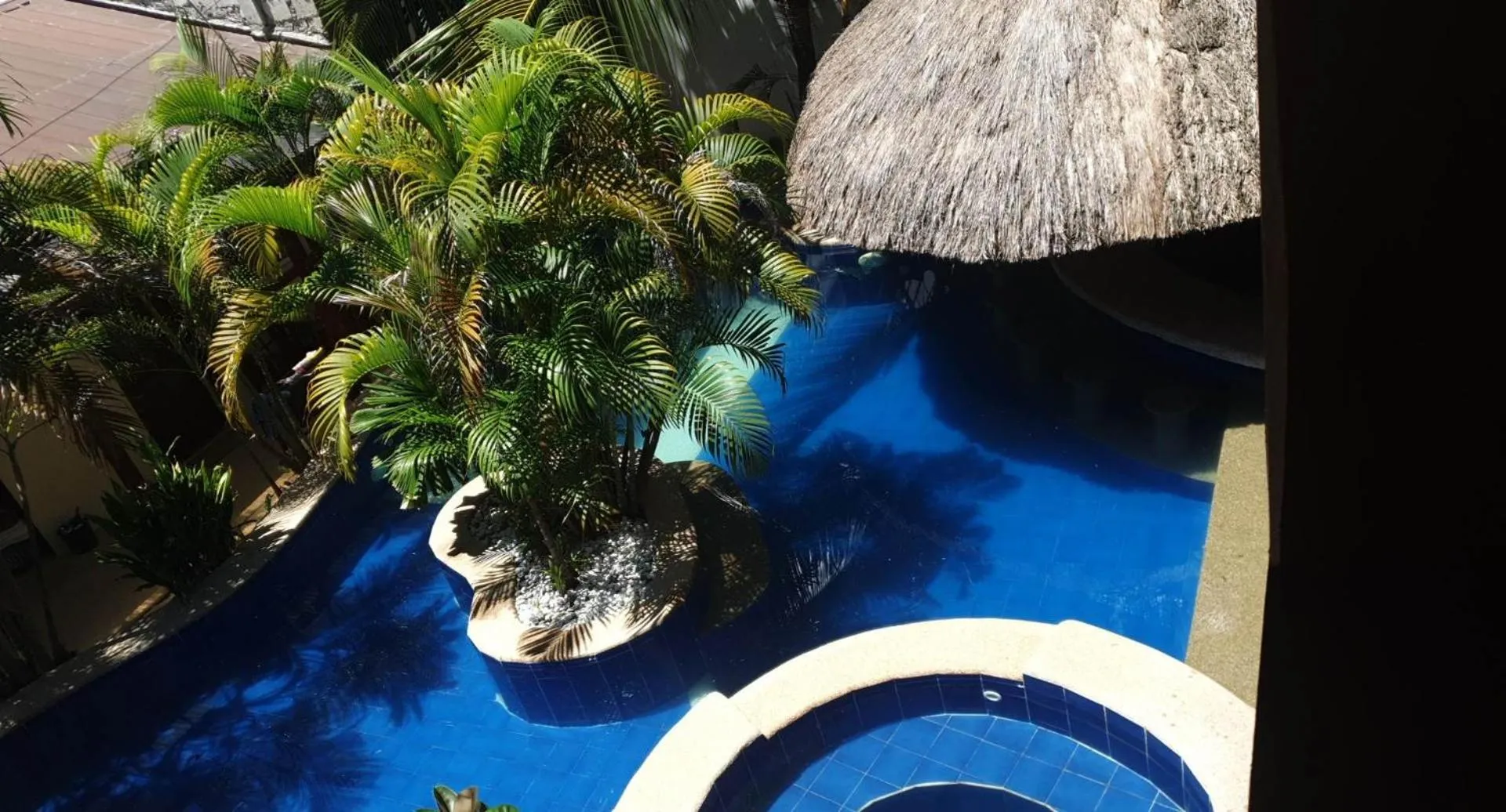 Swimming pool in birdwatchers beachfront hotel panglao