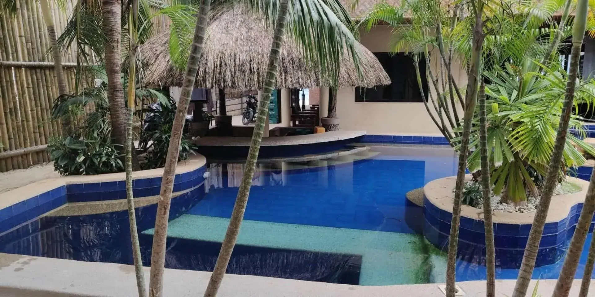 Deluxe Room in birdwatchers beachfront hotel panglao Deluxe Room in birdwatchers beachfront hotel panglao