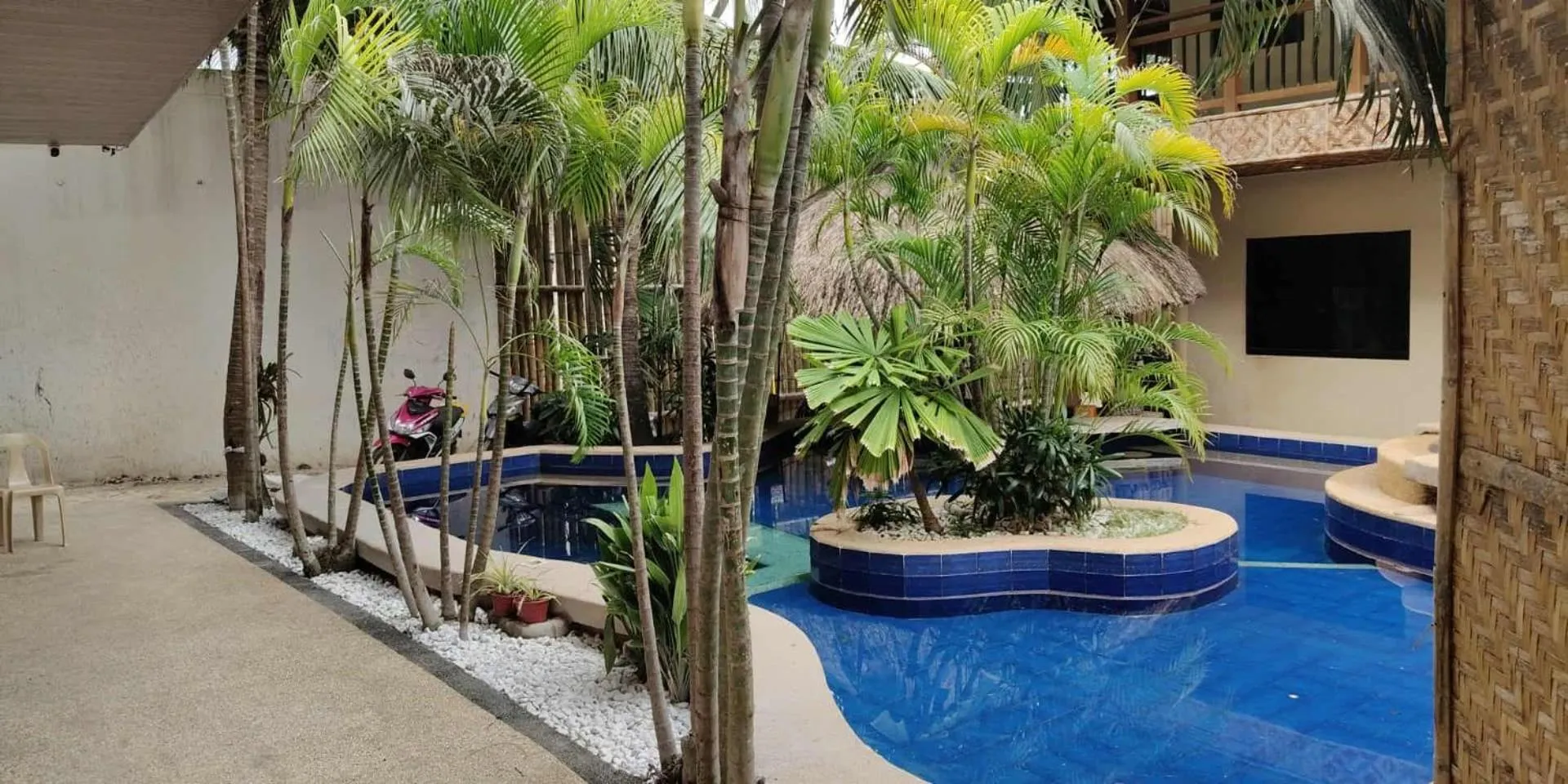 birdwatchers beachfront hotel panglao