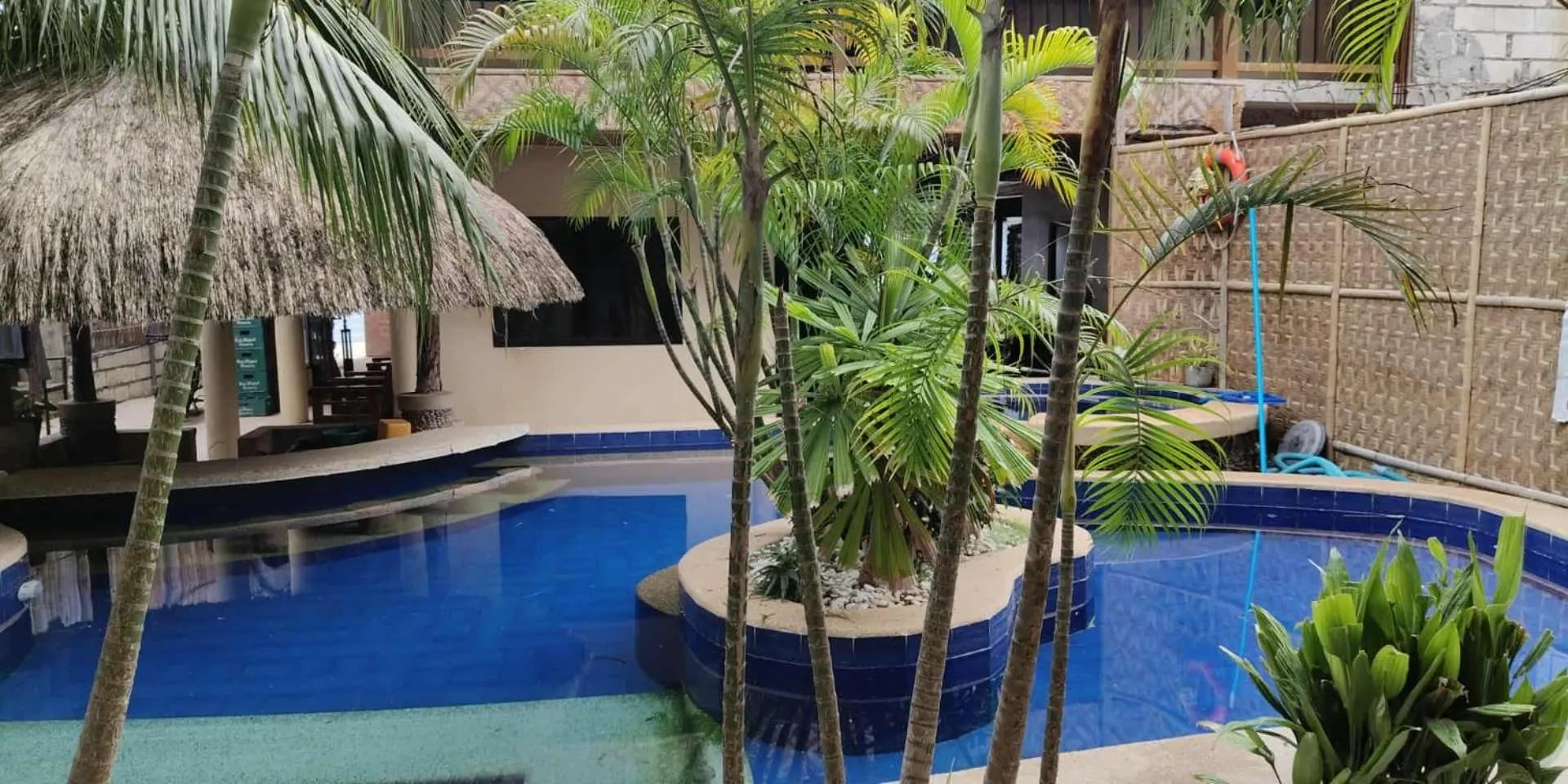 birdwatchers beachfront hotel panglao