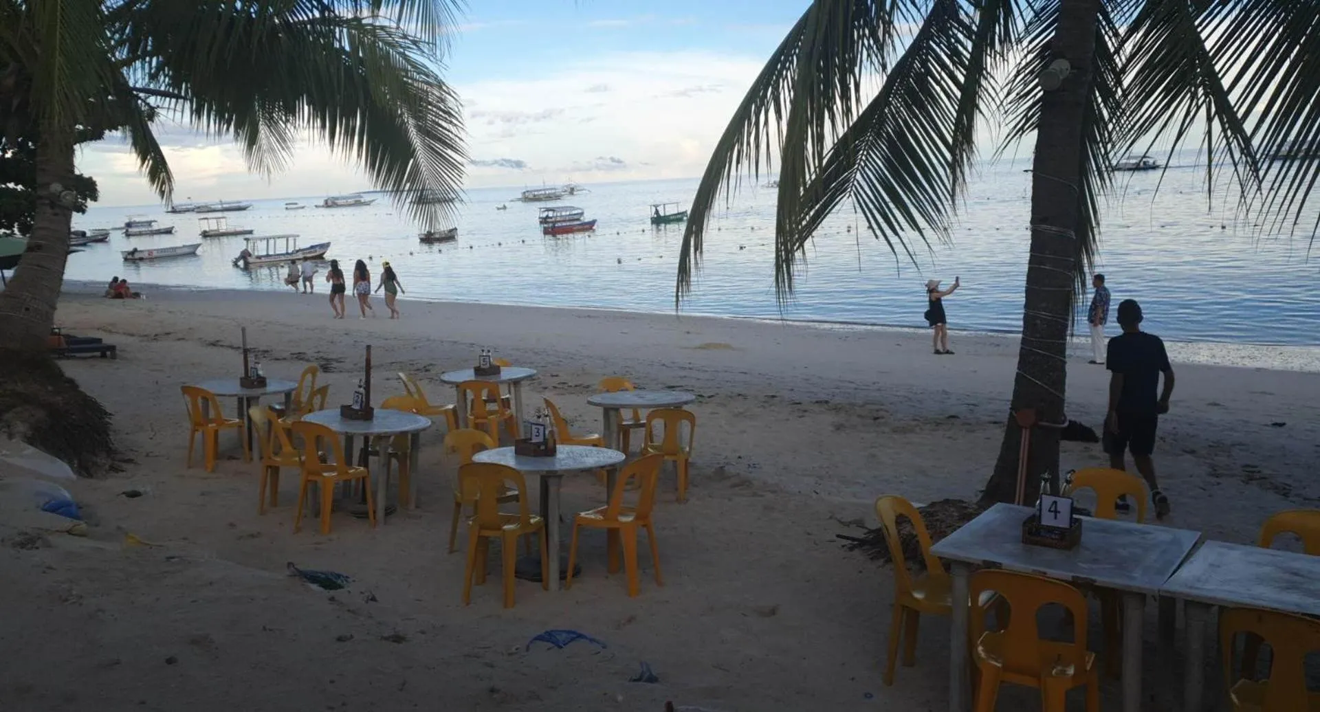 Restaurant/places to eat in birdwatchers beachfront hotel panglao