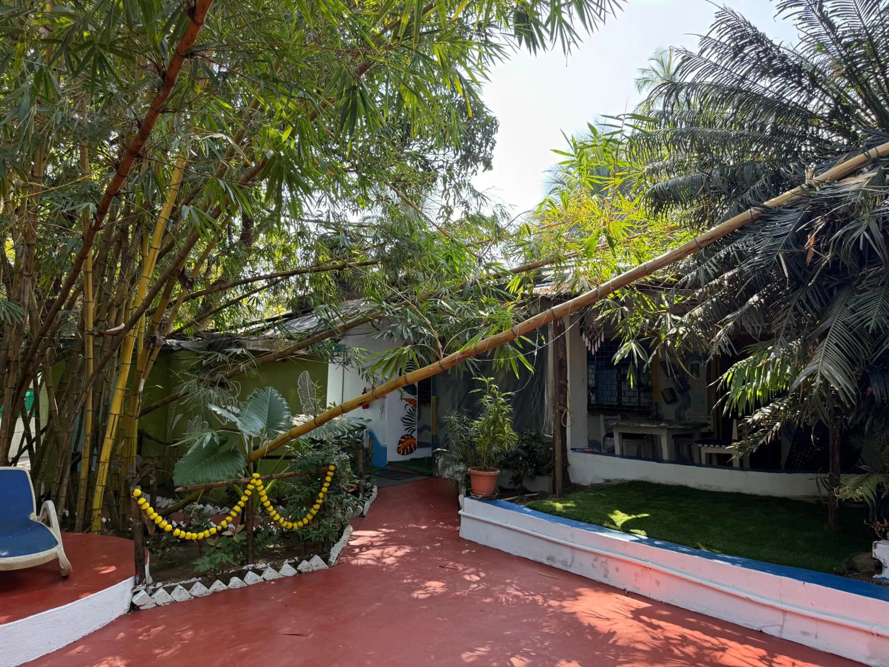 Garden view in Endless Blue Hostel