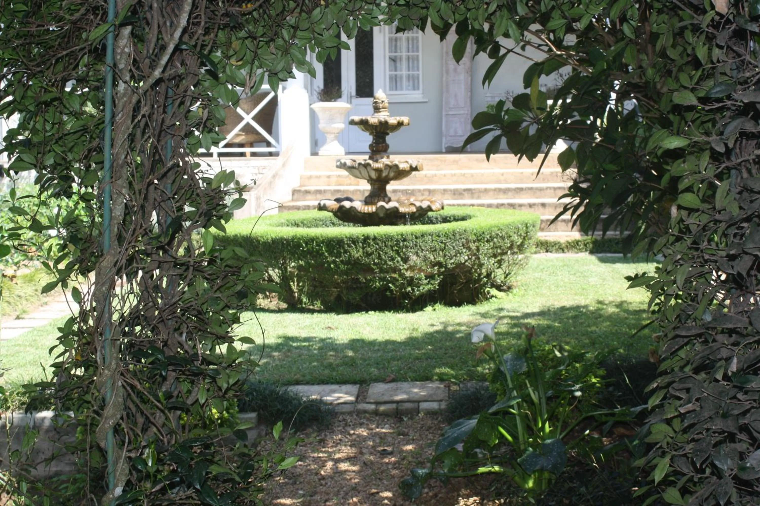 Garden in Lemon Tree B&B