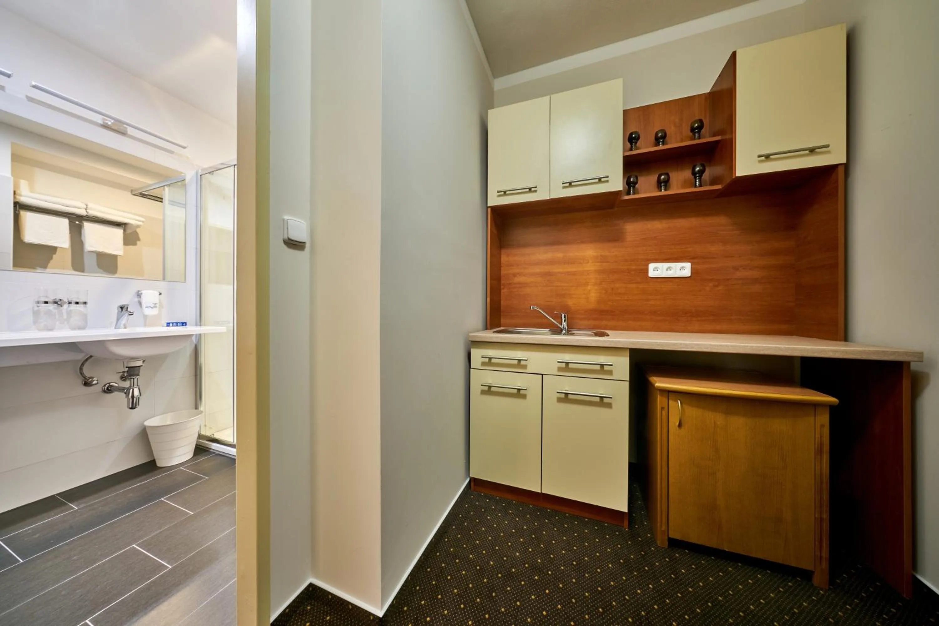 Photo of the whole room in Hotel Adam Trutnov