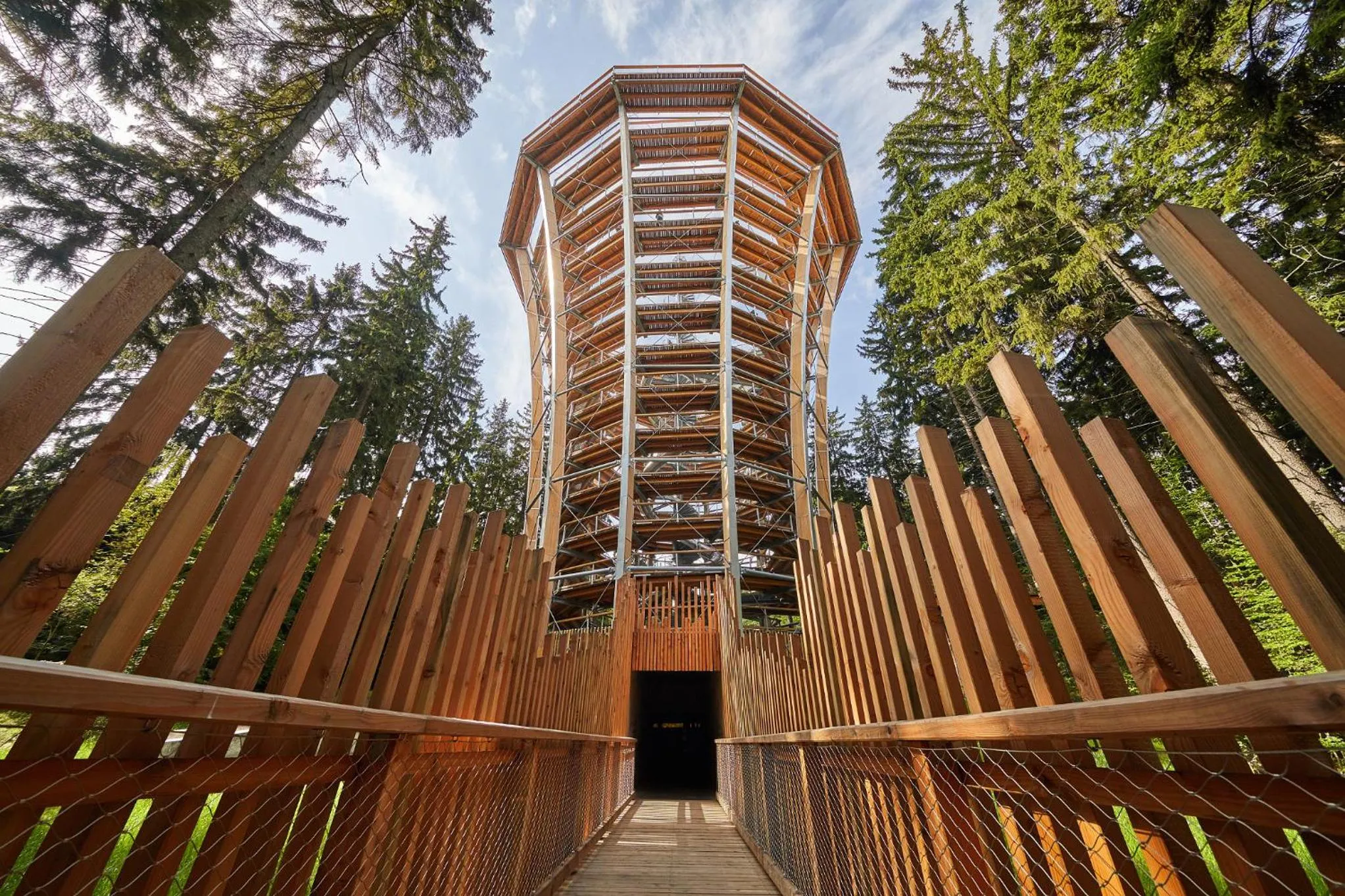 Natural landscape in Hotel Adam Trutnov