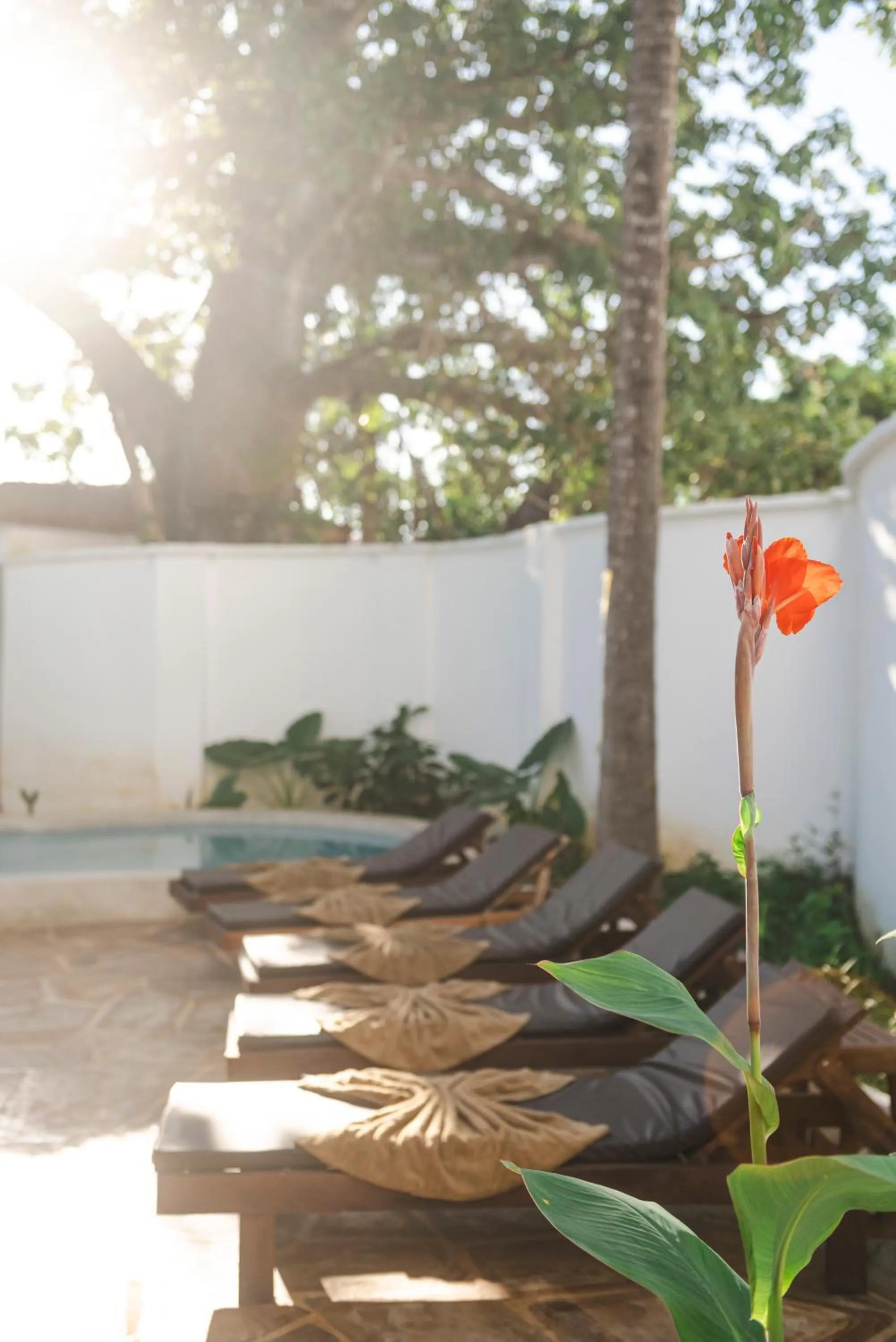 Swimming pool in TASNEEM islamic luxury suites