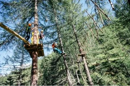 Summer in Hotel Restaurant Rosmarie