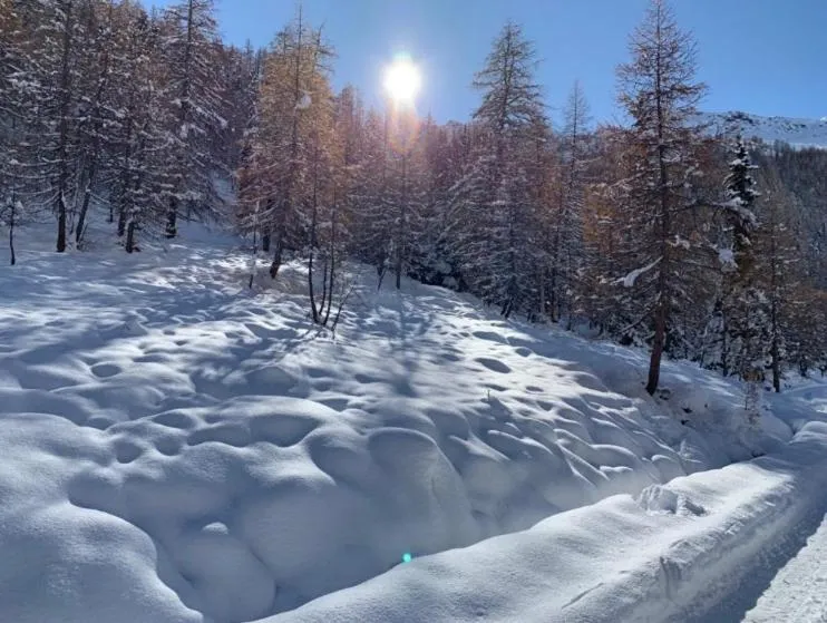 Winter in Hotel Restaurant Rosmarie