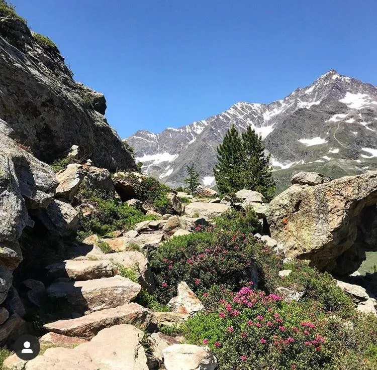 Spring in Hotel Restaurant Rosmarie