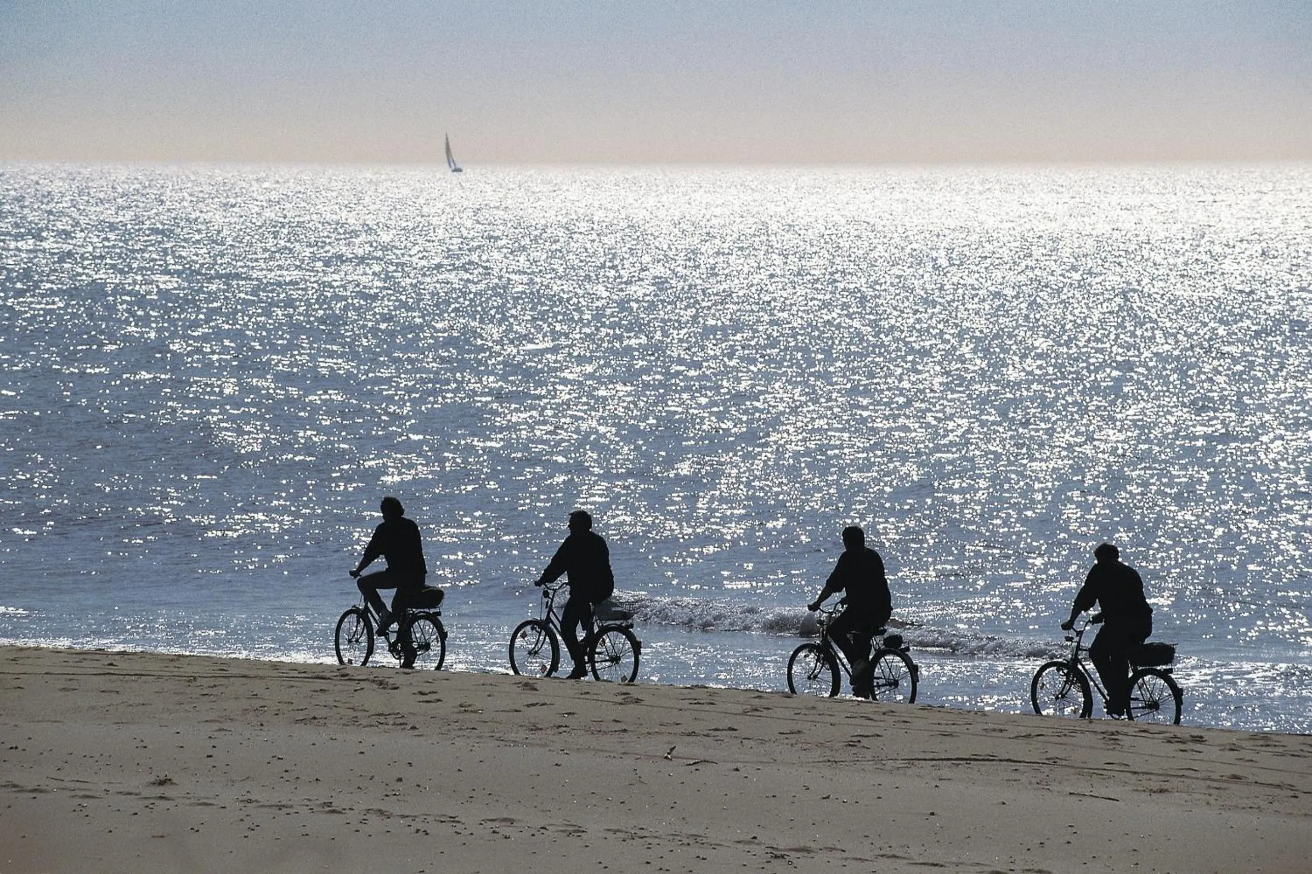 Area and facilities in Hotel Quattro Palme