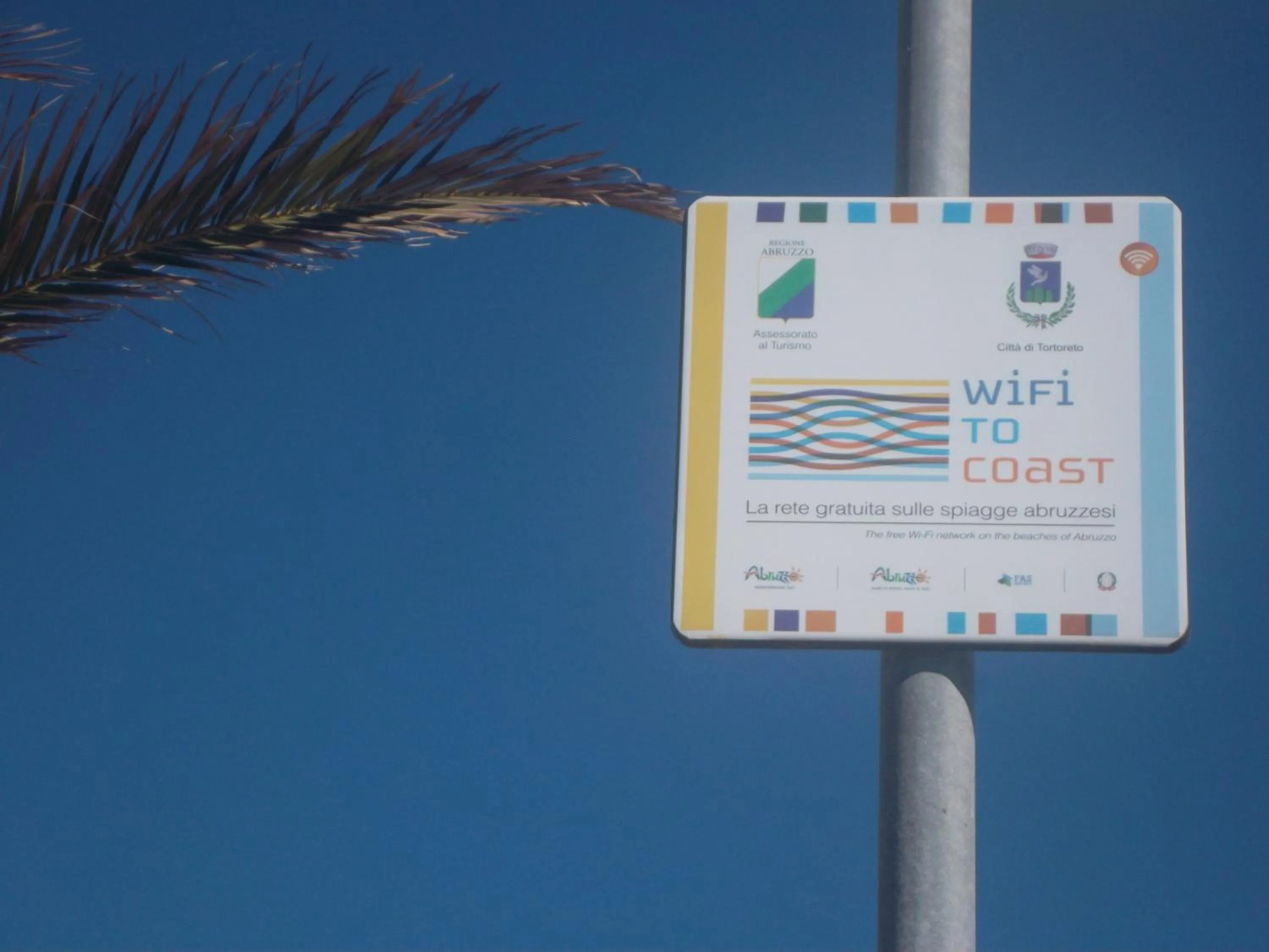 Area and facilities in Hotel Quattro Palme