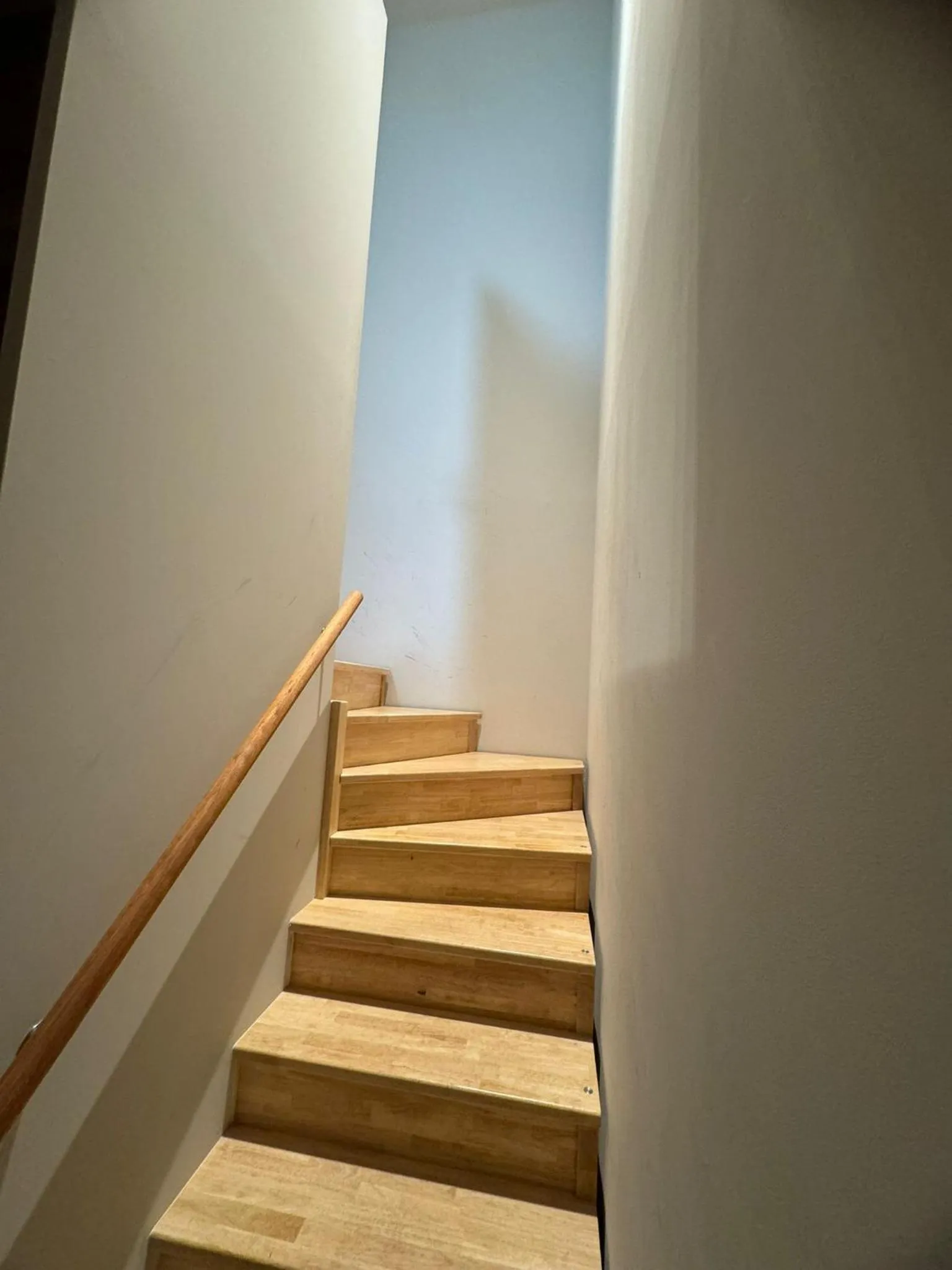 Photo of the whole room in OPO Hotel