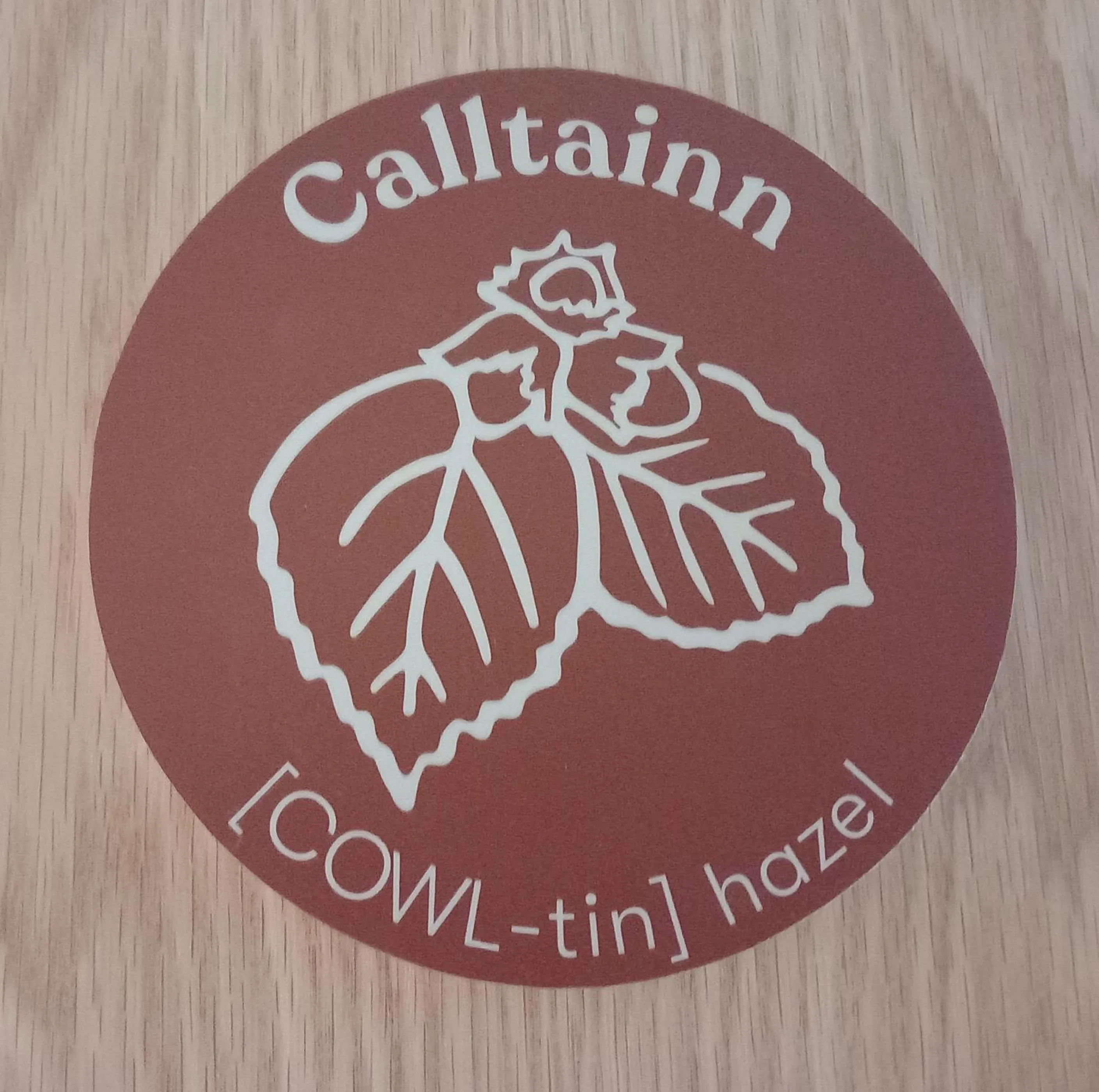 An Spiris Accommodation at Dundreggan Rewilding Centre