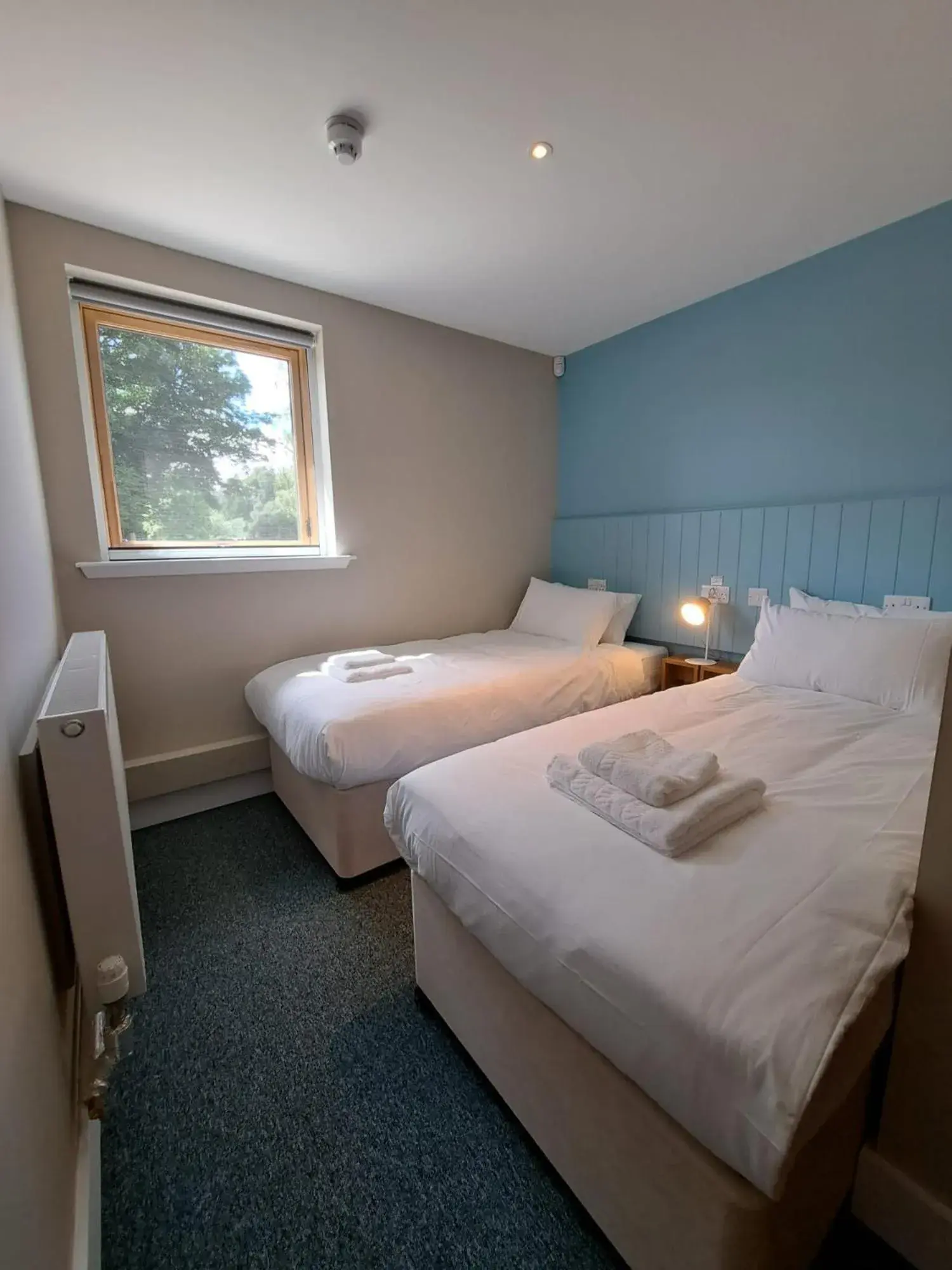 Standard Twin 13 - single occupancy - Uinnseann (Ash) in An Spiris Accommodation at Dundreggan Rewilding Centre Standard Twin 13 - single occupancy - Uinnseann (Ash) in An Spiris Accommodation at Dundreggan Rewilding Centre