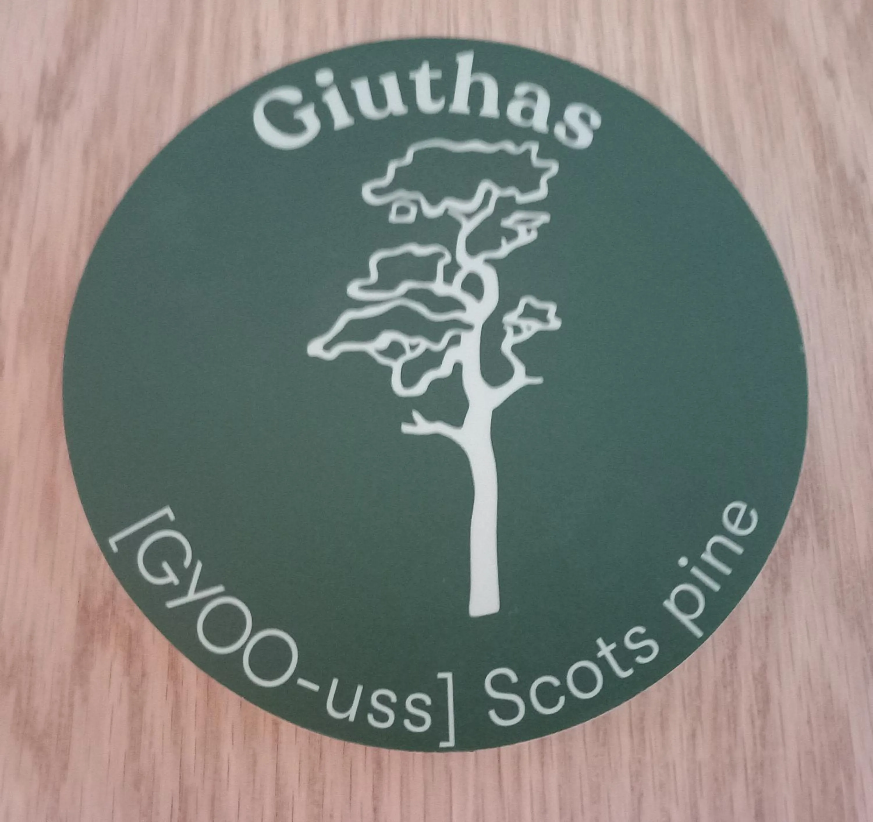 An Spiris Accommodation at Dundreggan Rewilding Centre