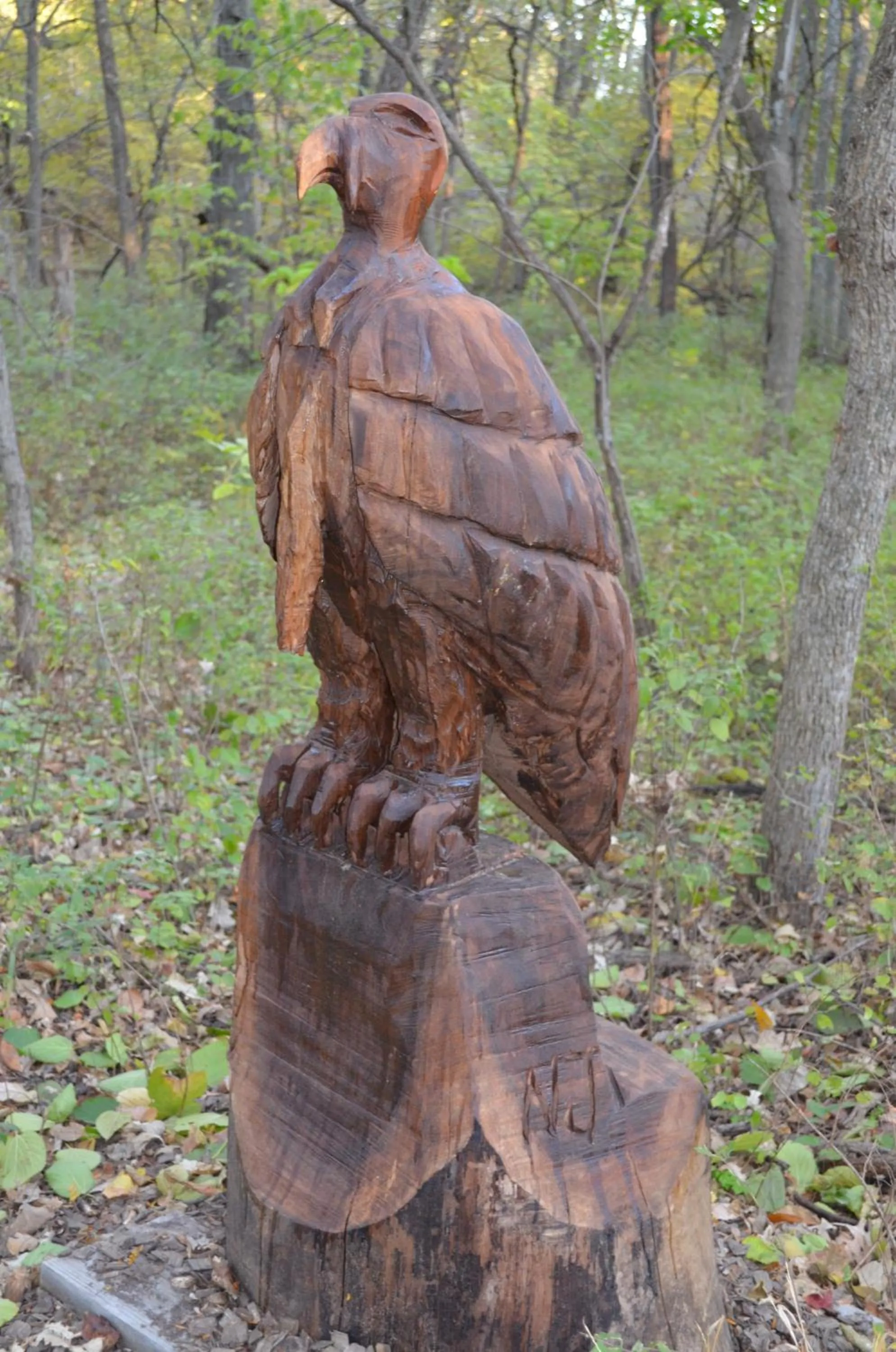 Area and facilities in Lied Lodge at Arbor Day Farm