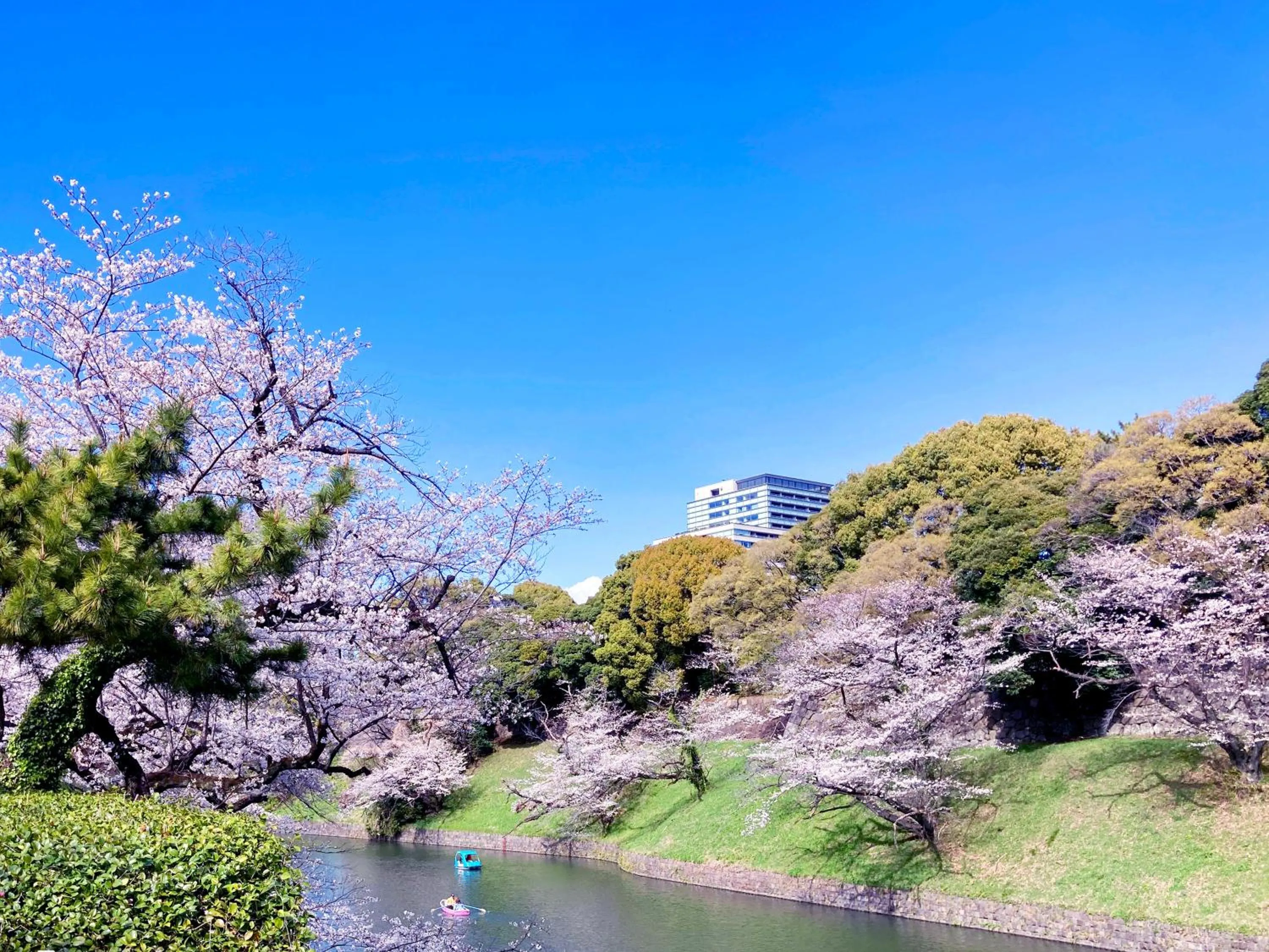 Nearby landmark in APA Hotel Nagatacho Hanzomon Ekimae