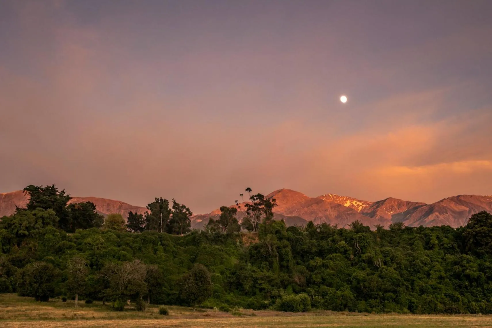 Double Room in Train Carriage in Hapuku Carriages Kaikōura