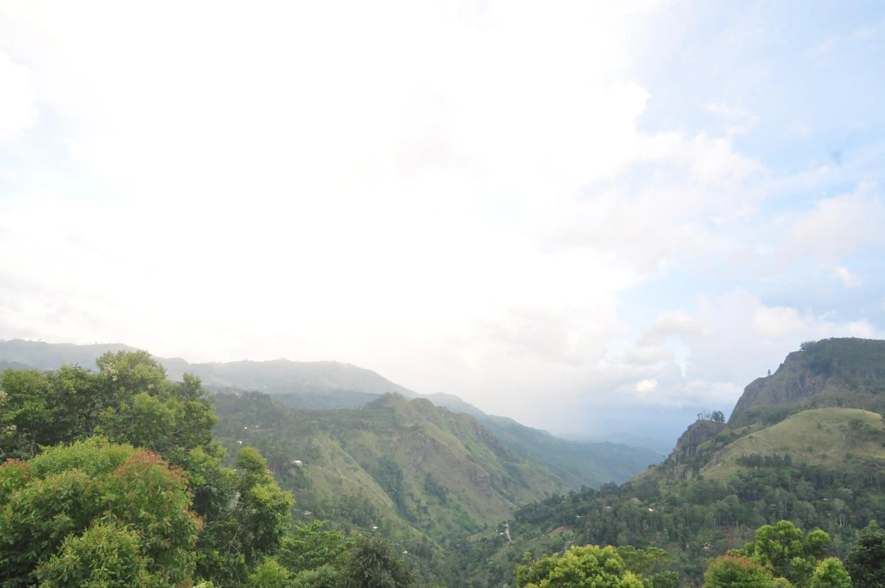 Natural landscape in Hotel Country Comfort